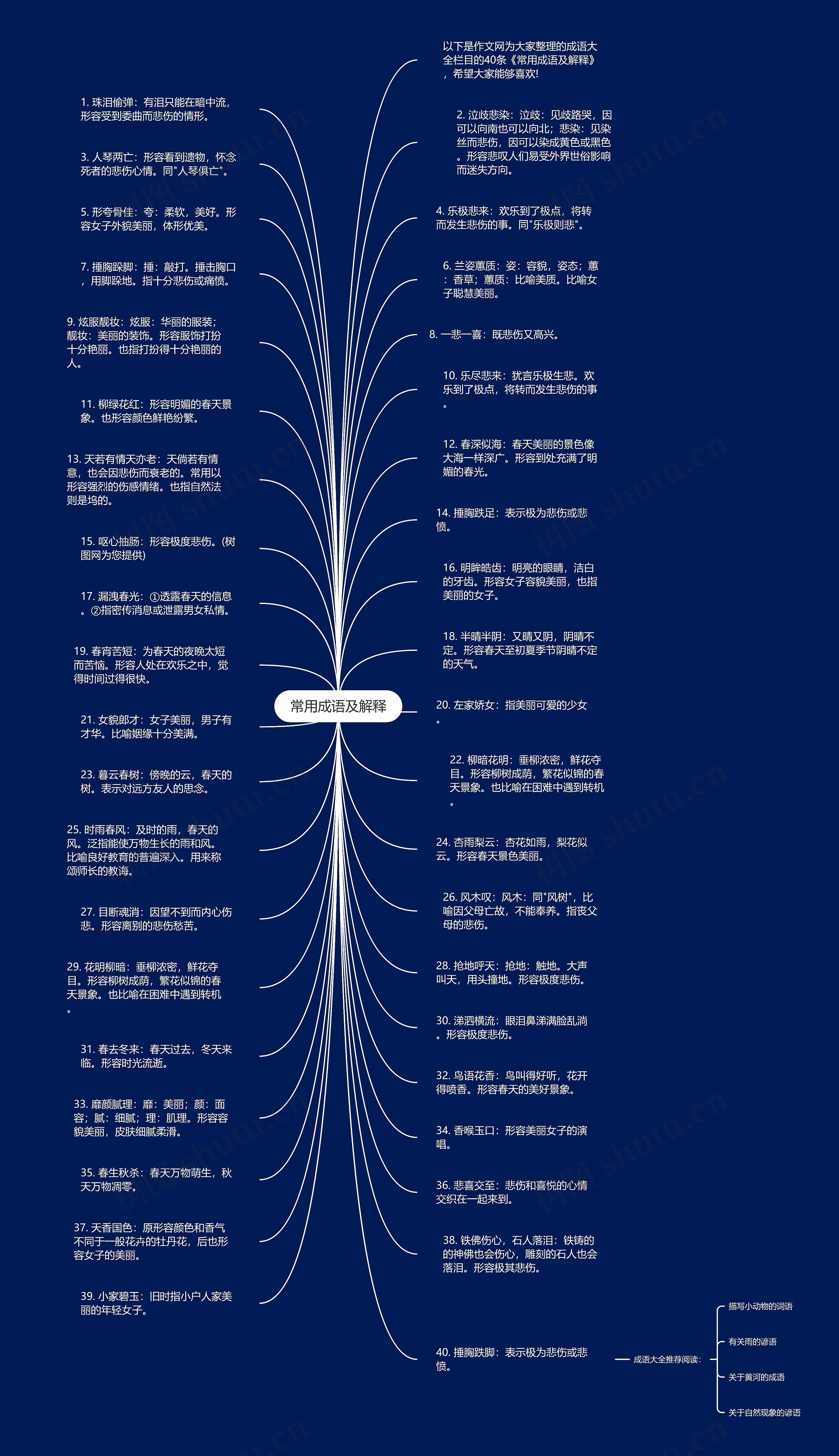 常用成语及解释思维导图