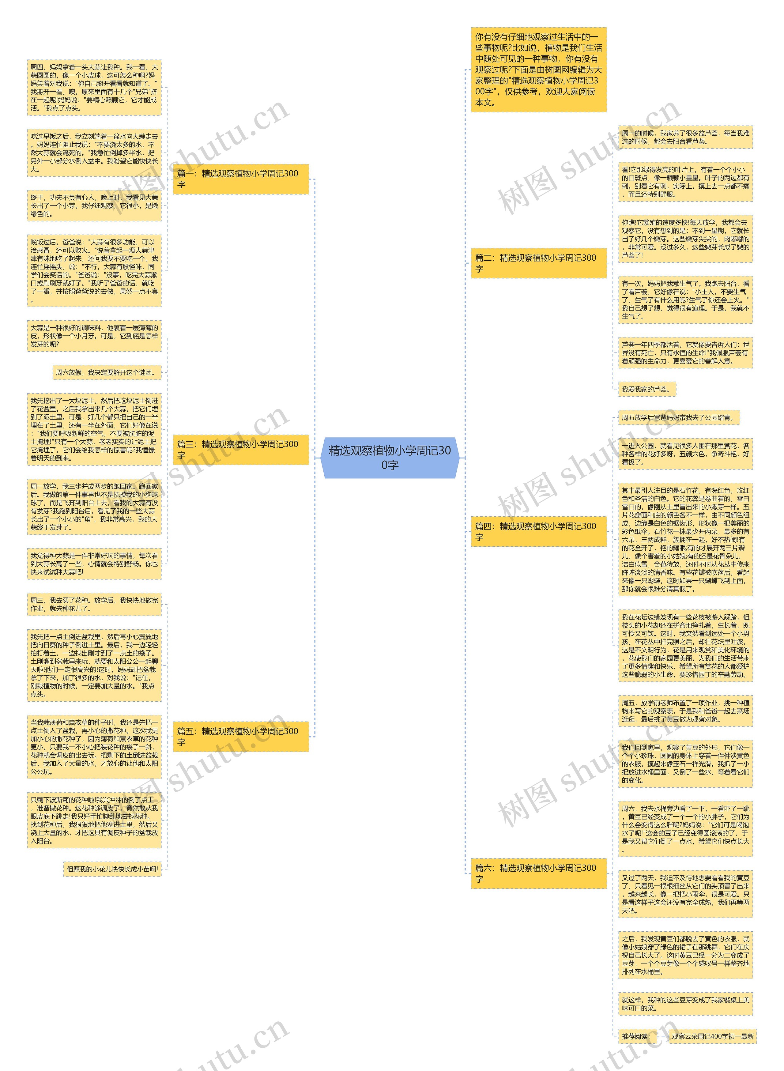 精选观察植物小学周记300字思维导图