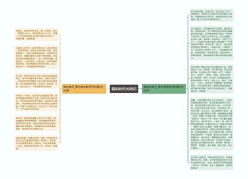 温和的目光周记