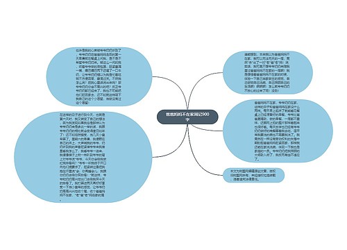 爸爸妈妈不在家周记900字