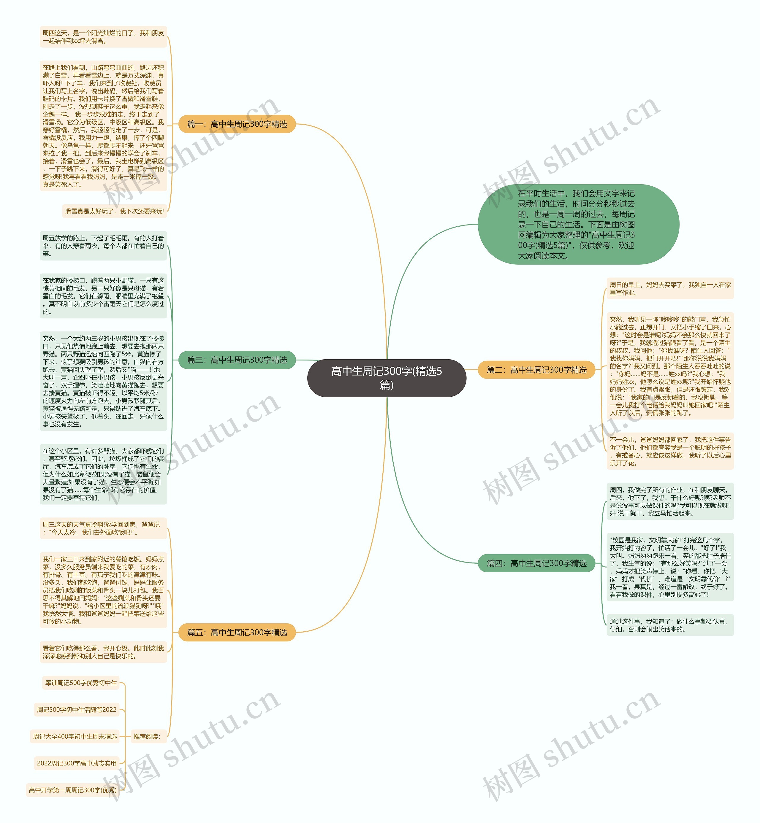 高中生周记300字(精选5篇)思维导图