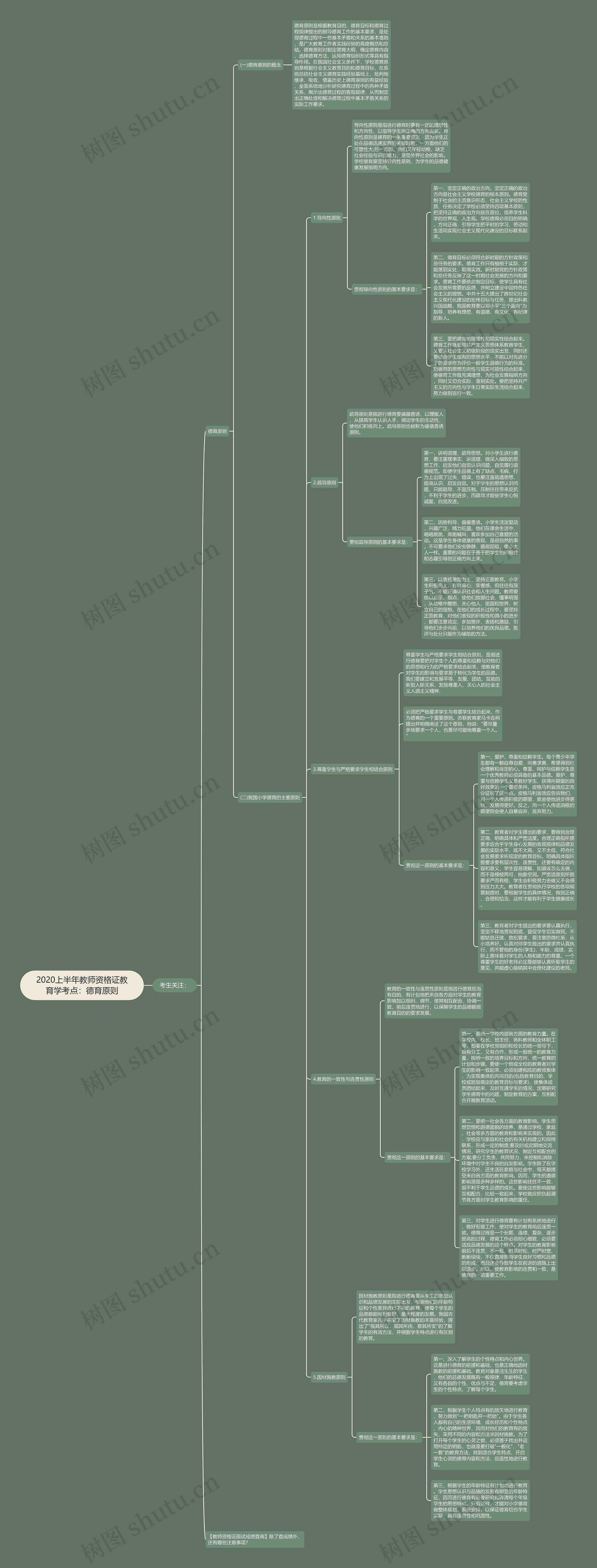 2020上半年教师资格证教育学考点：德育原则思维导图