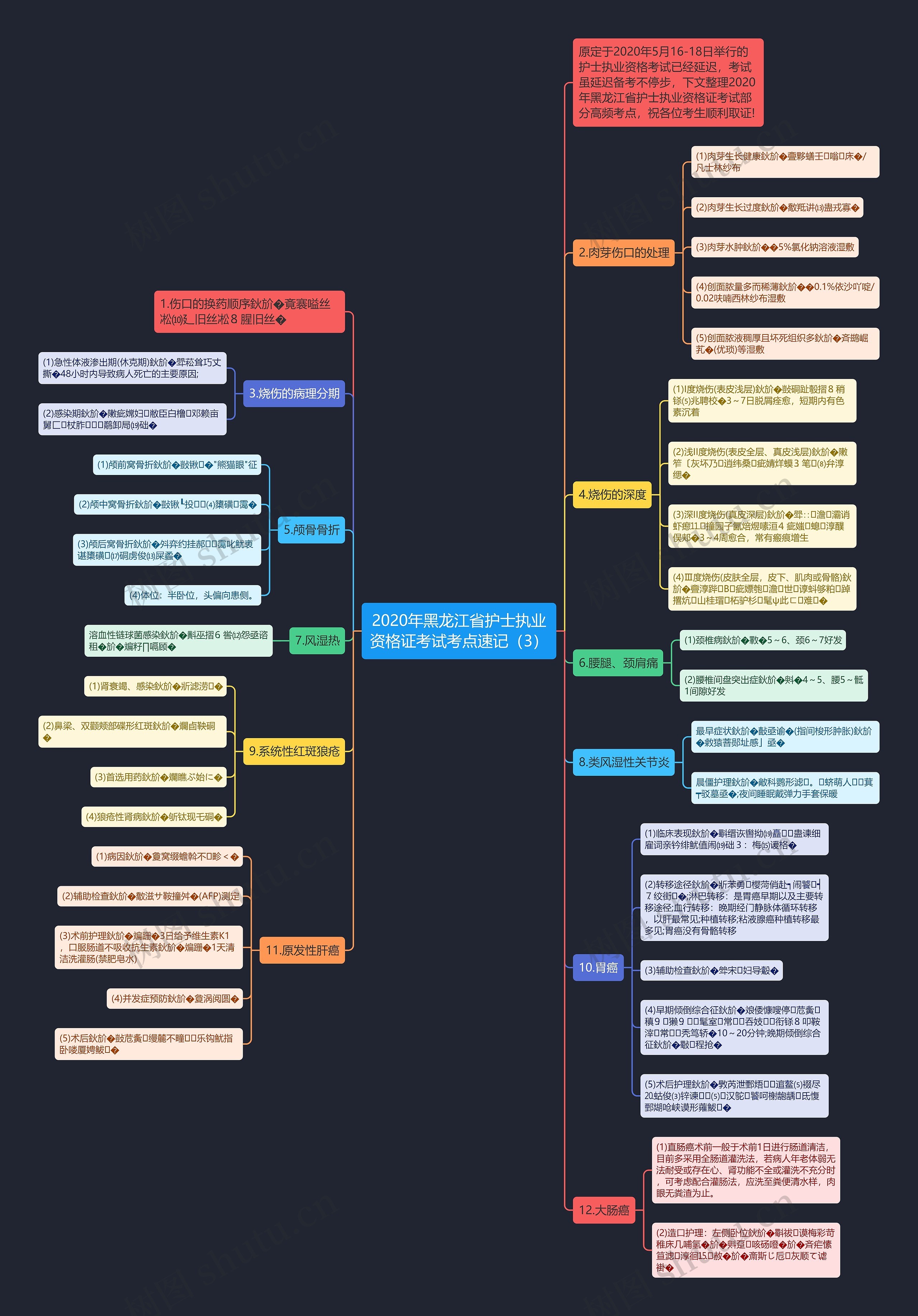 2020年黑龙江省护士执业资格证考试考点速记（3）思维导图