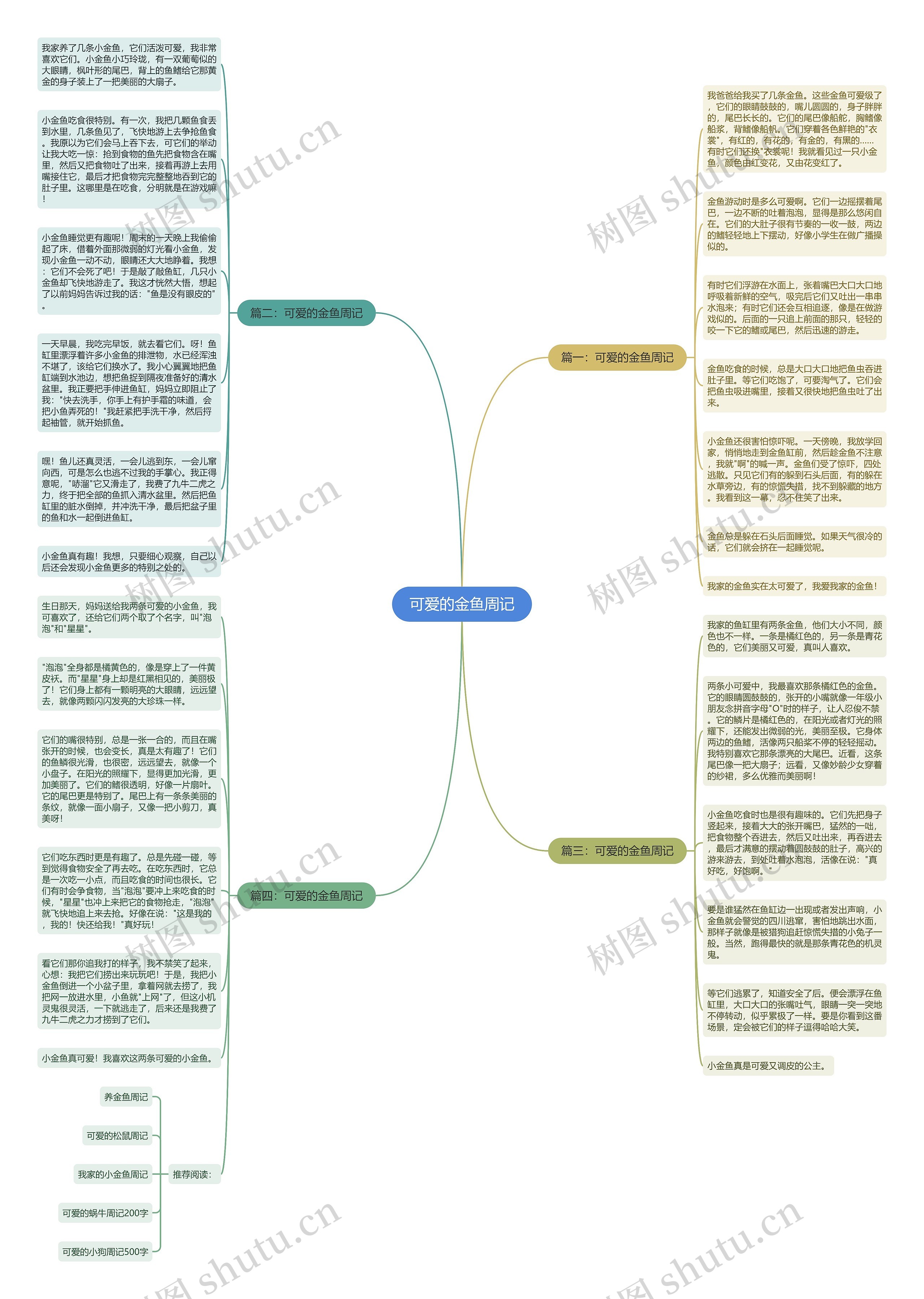 可爱的金鱼周记思维导图
