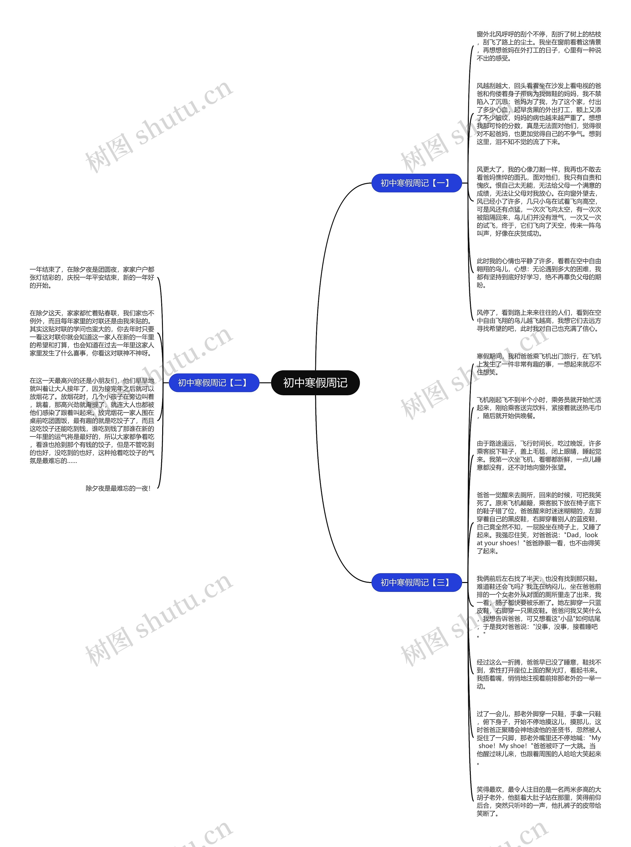 初中寒假周记思维导图