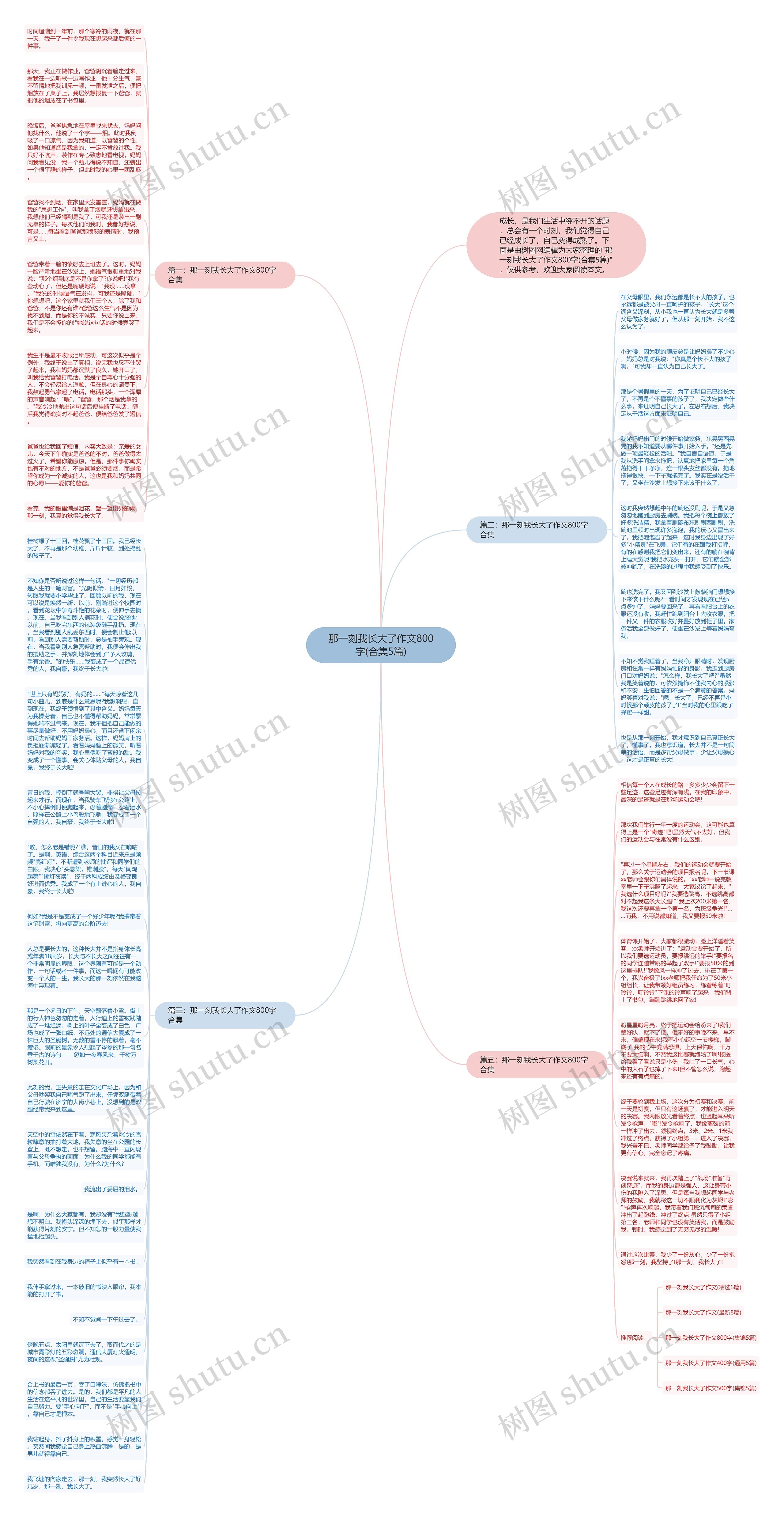 那一刻我长大了作文800字(合集5篇)思维导图