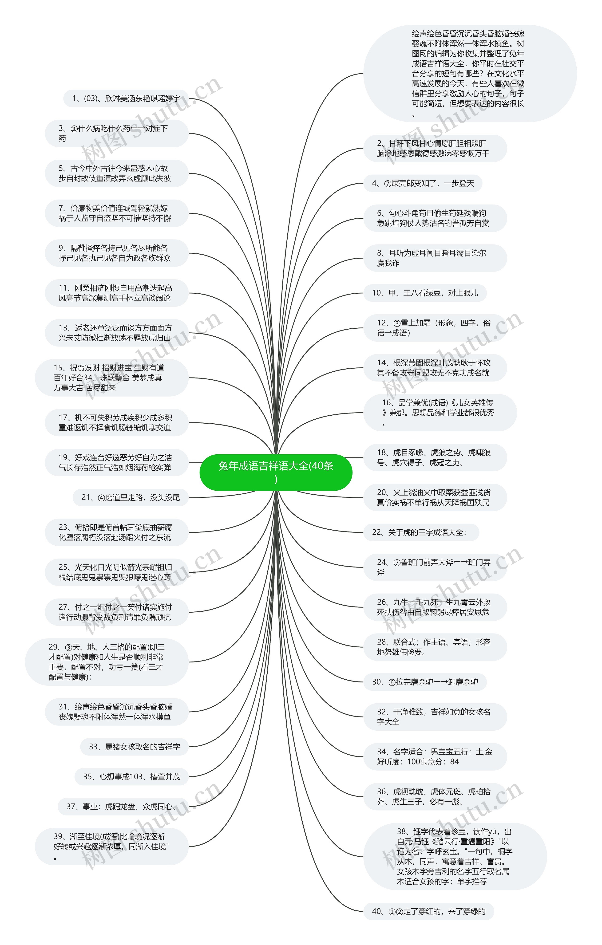 兔年成语吉祥语大全(40条)思维导图