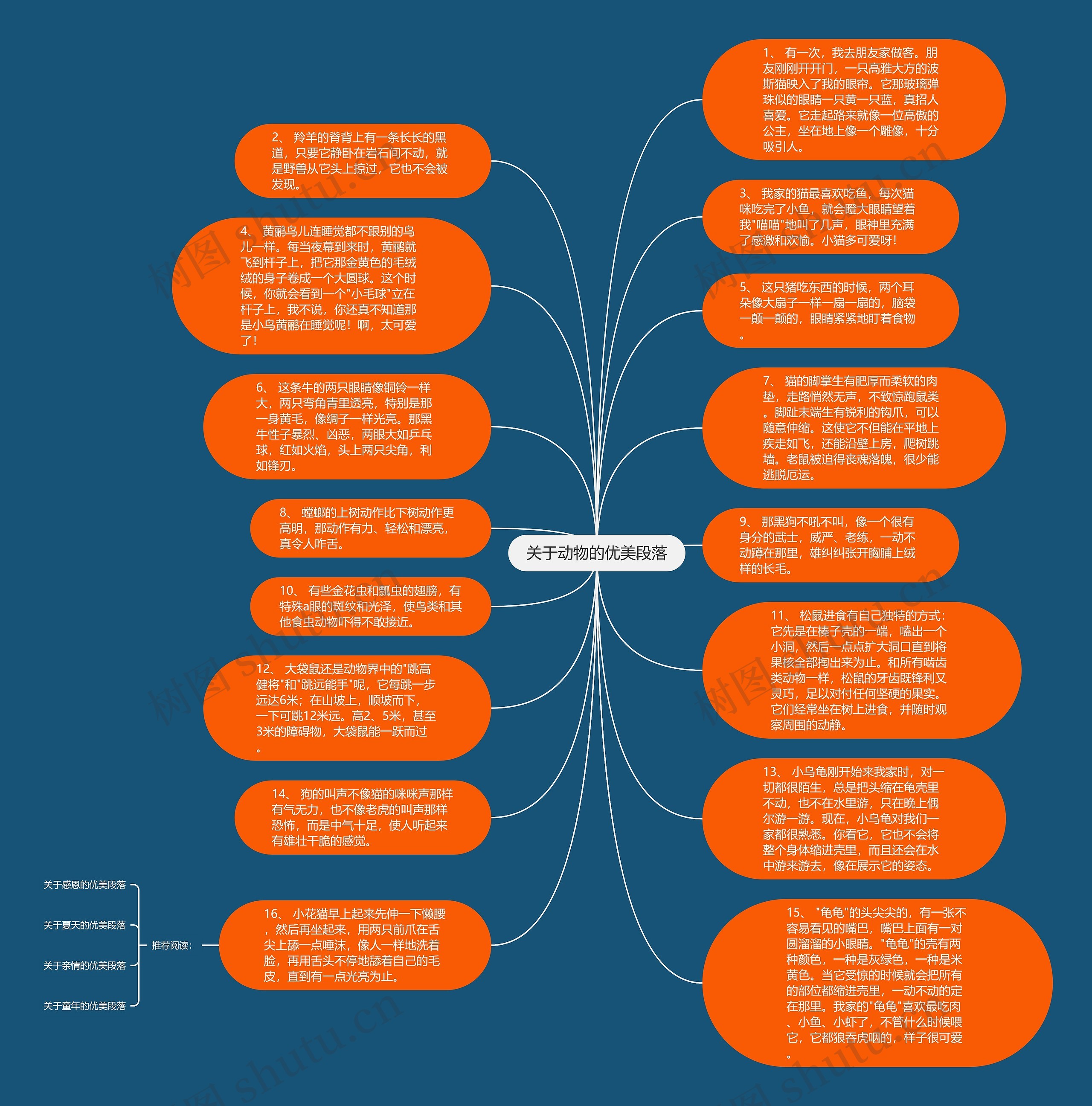 关于动物的优美段落思维导图