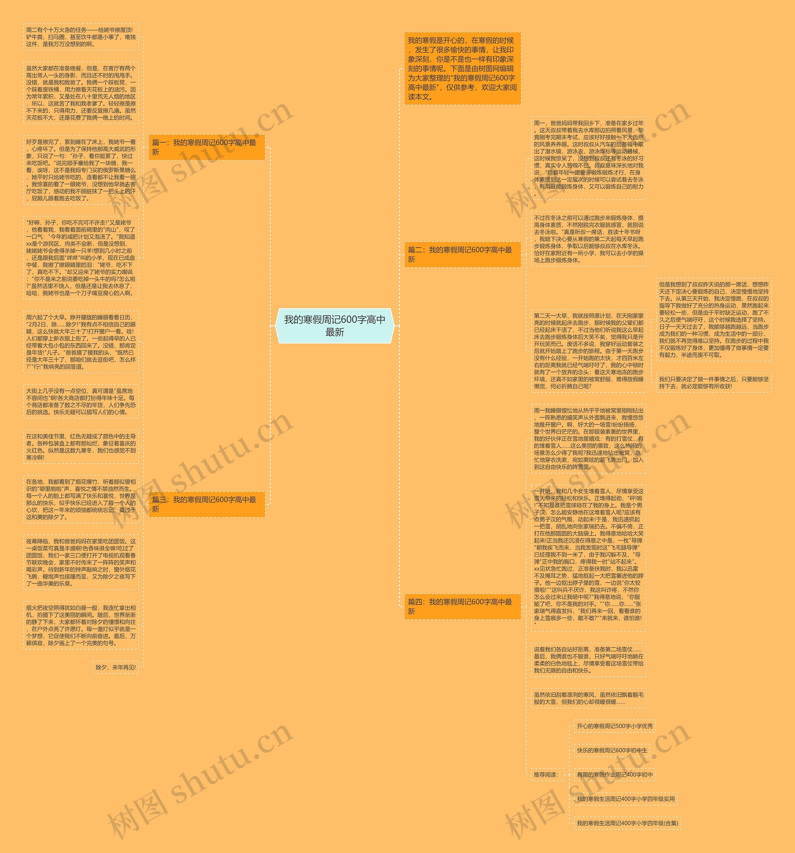 我的寒假周记600字高中最新思维导图