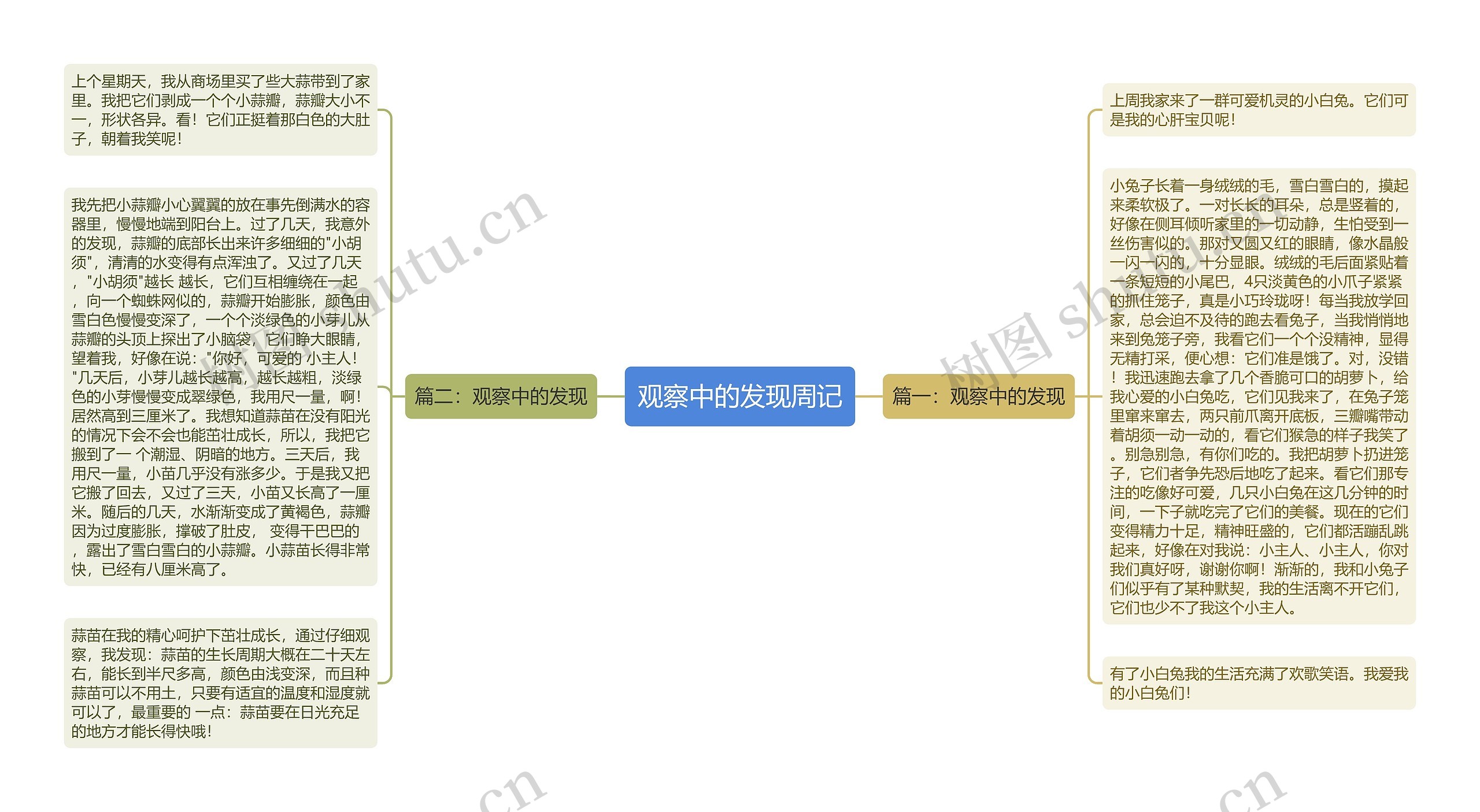 观察中的发现周记思维导图