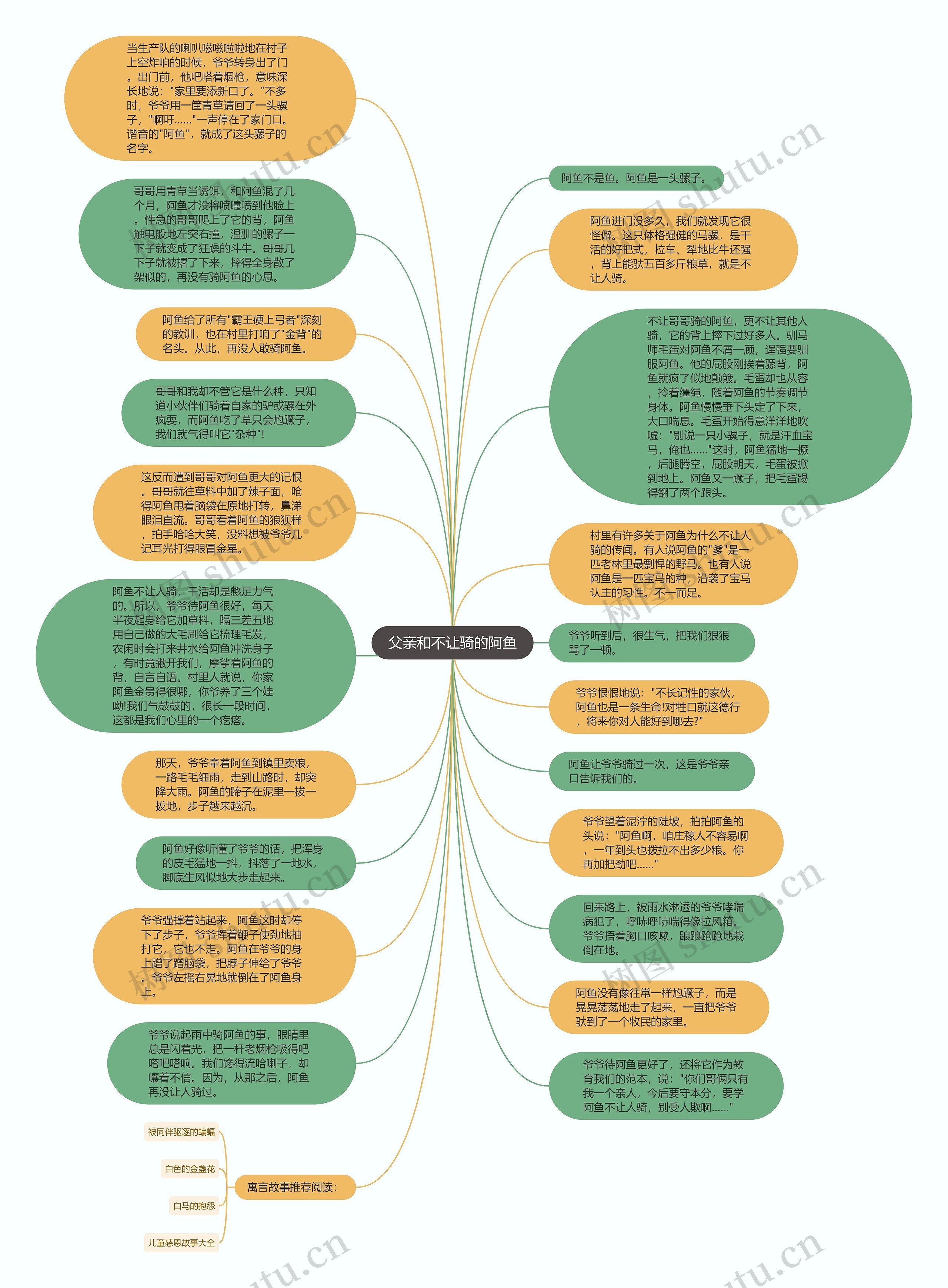 父亲和不让骑的阿鱼思维导图