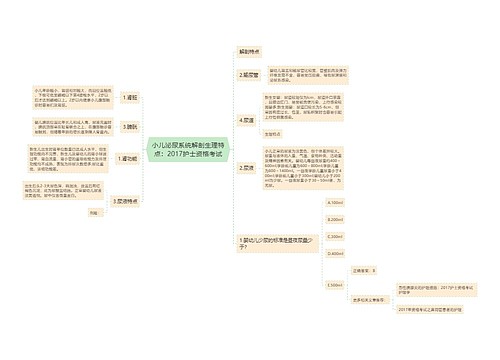 小儿泌尿系统解剖生理特点：2017护士资格考试