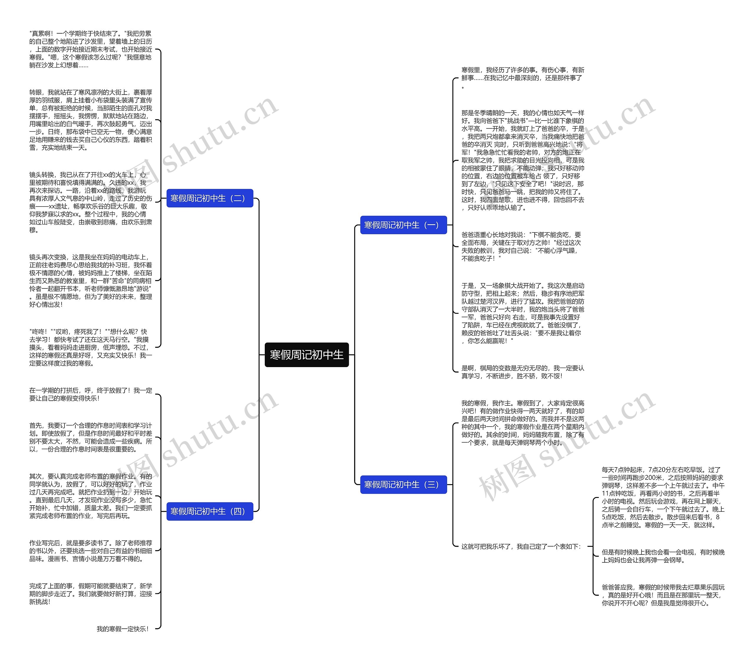 寒假周记初中生思维导图