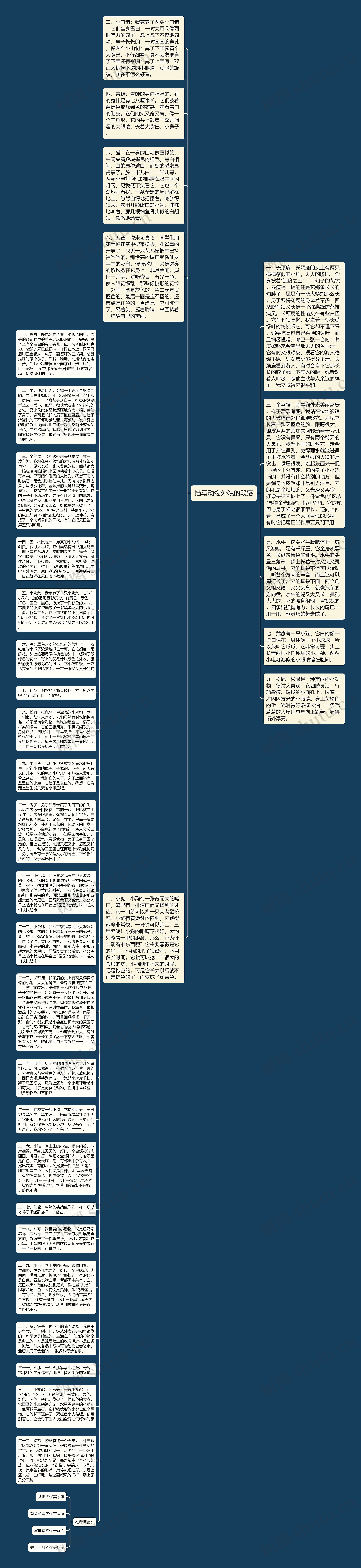 描写动物外貌的段落思维导图