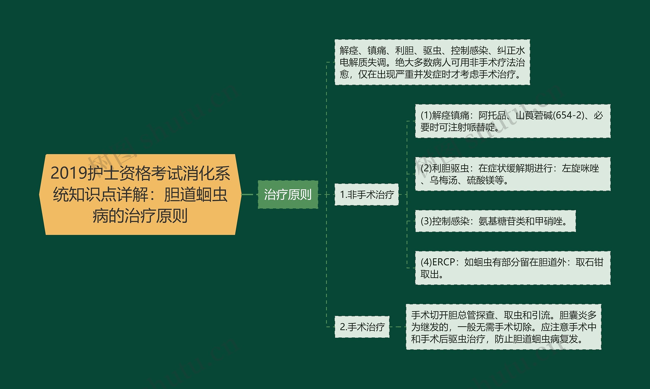 2019护士资格考试消化系统知识点详解：胆道蛔虫病的治疗原则