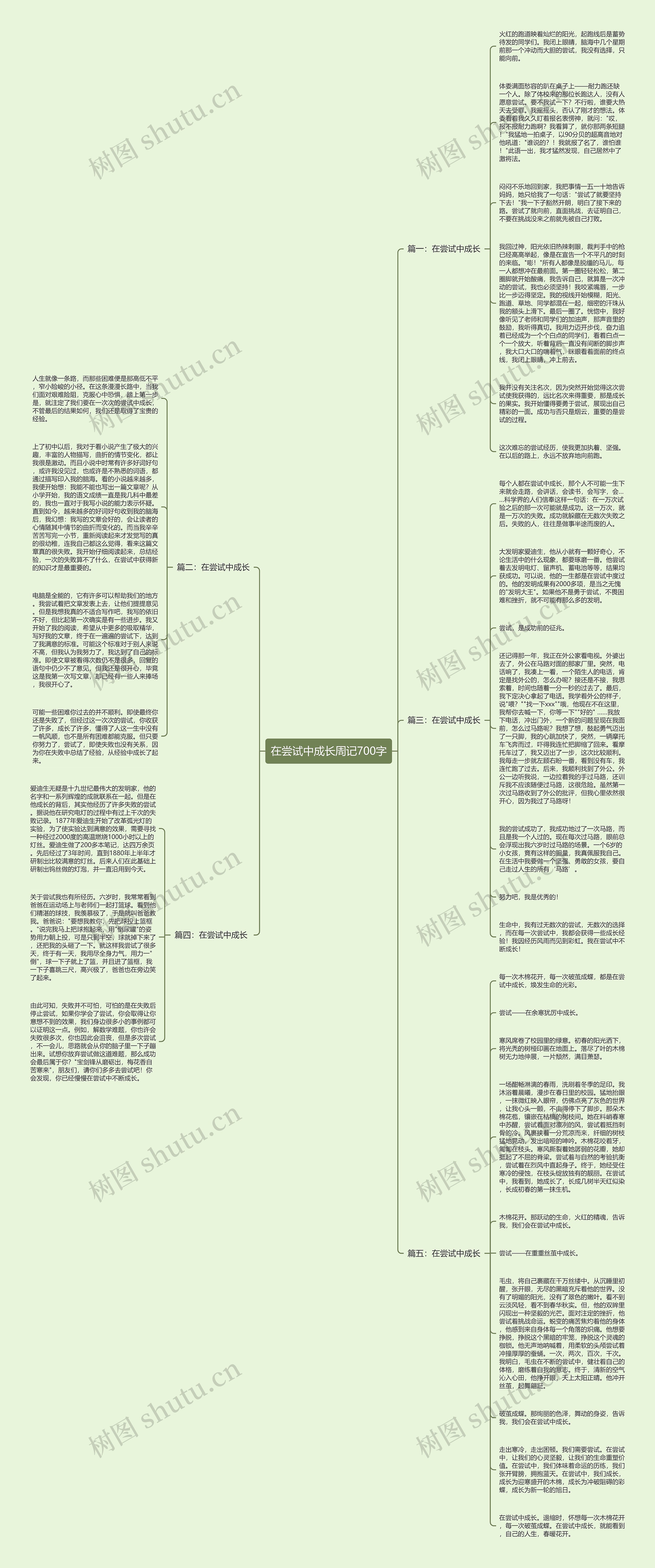 在尝试中成长周记700字思维导图