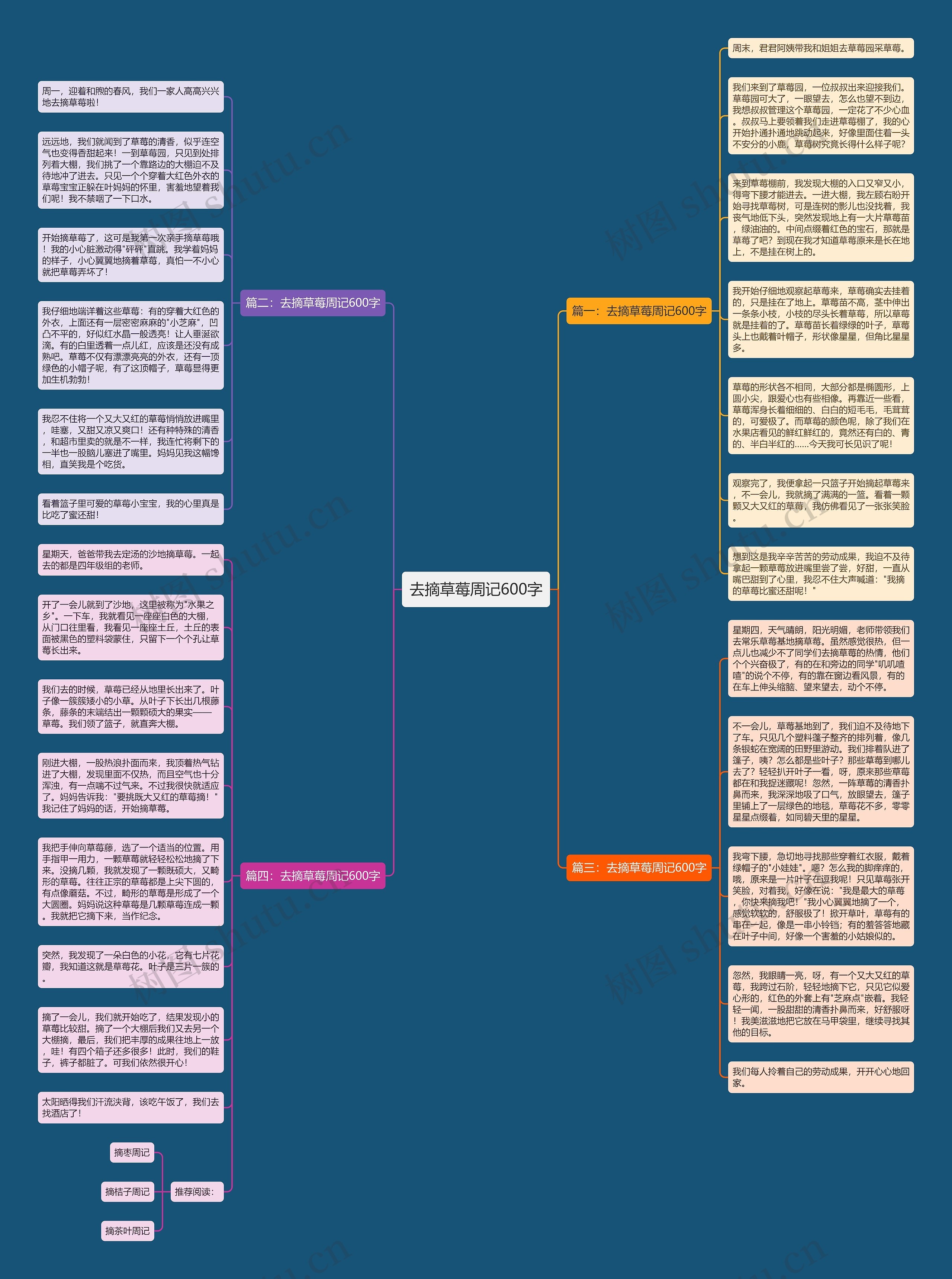 去摘草莓周记600字思维导图