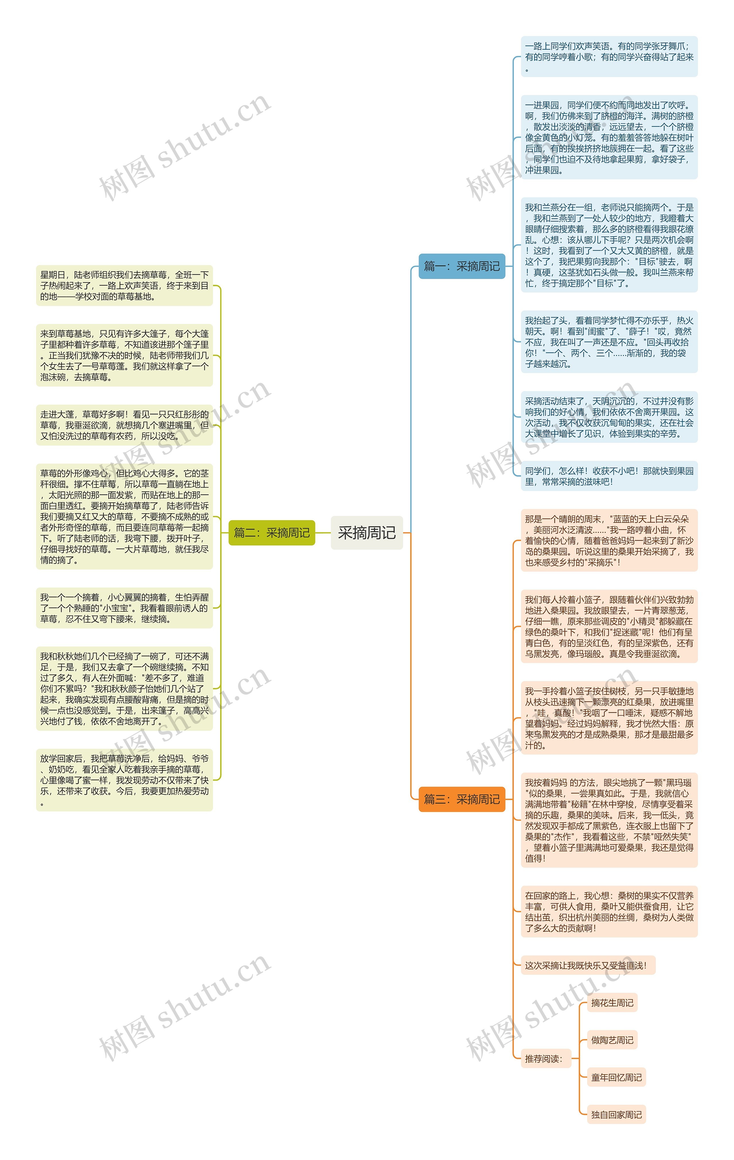 采摘周记思维导图