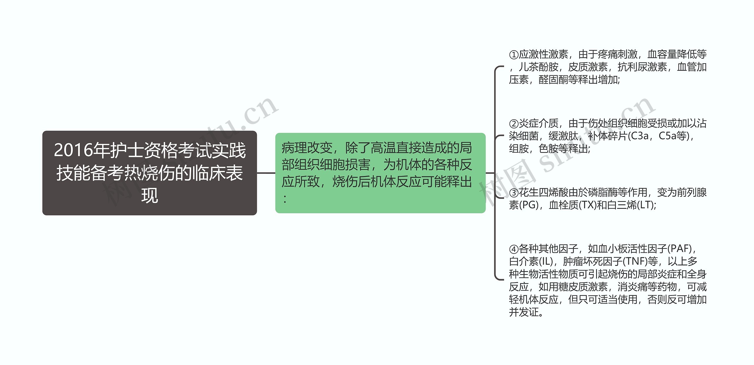 2016年护士资格考试实践技能备考热烧伤的临床表现思维导图