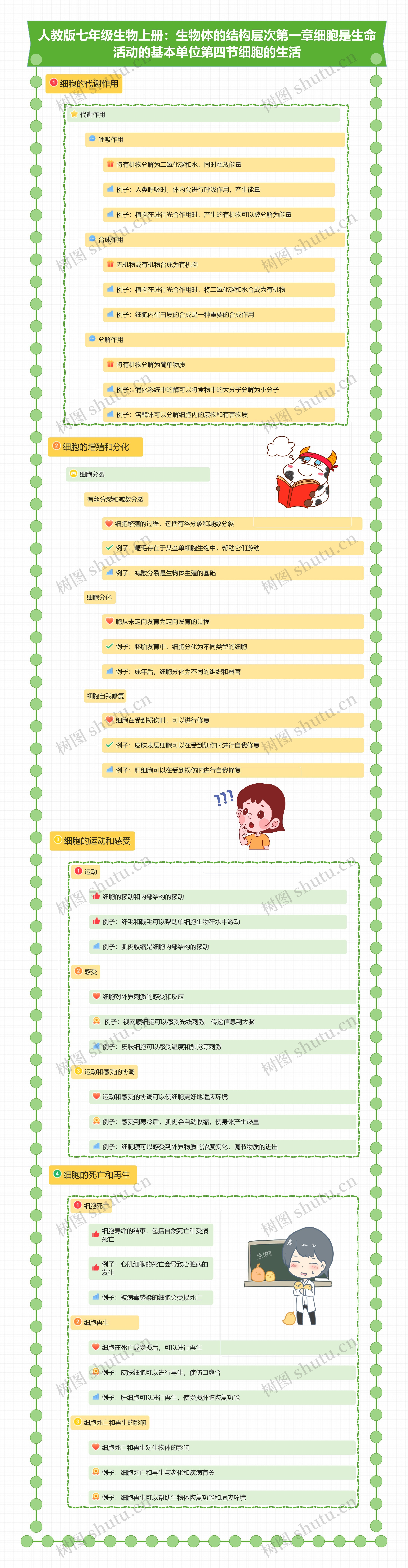 人教版七年级生物上册：生物体的结构层次第一章细胞是生命活动的基本单位第四节细胞的生活思维导图