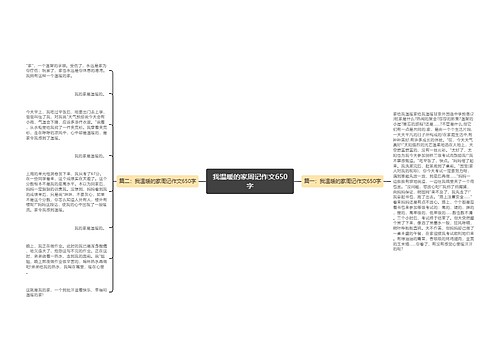 我温暖的家周记作文650字