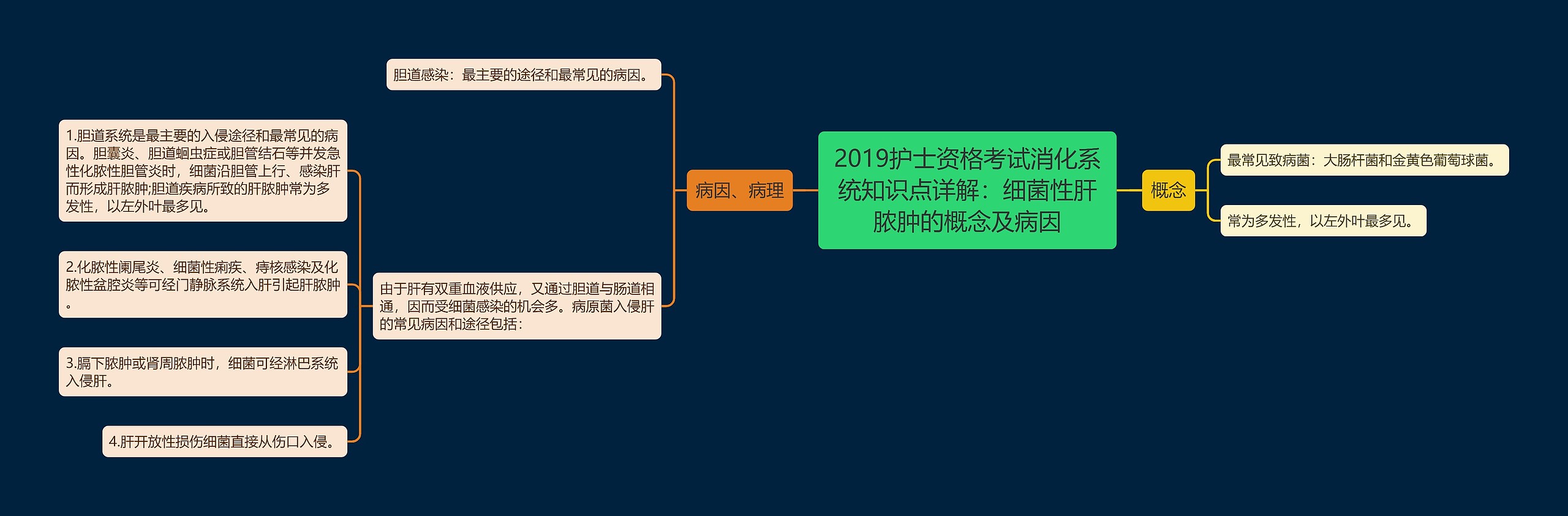 2019护士资格考试消化系统知识点详解：细菌性肝脓肿的概念及病因思维导图