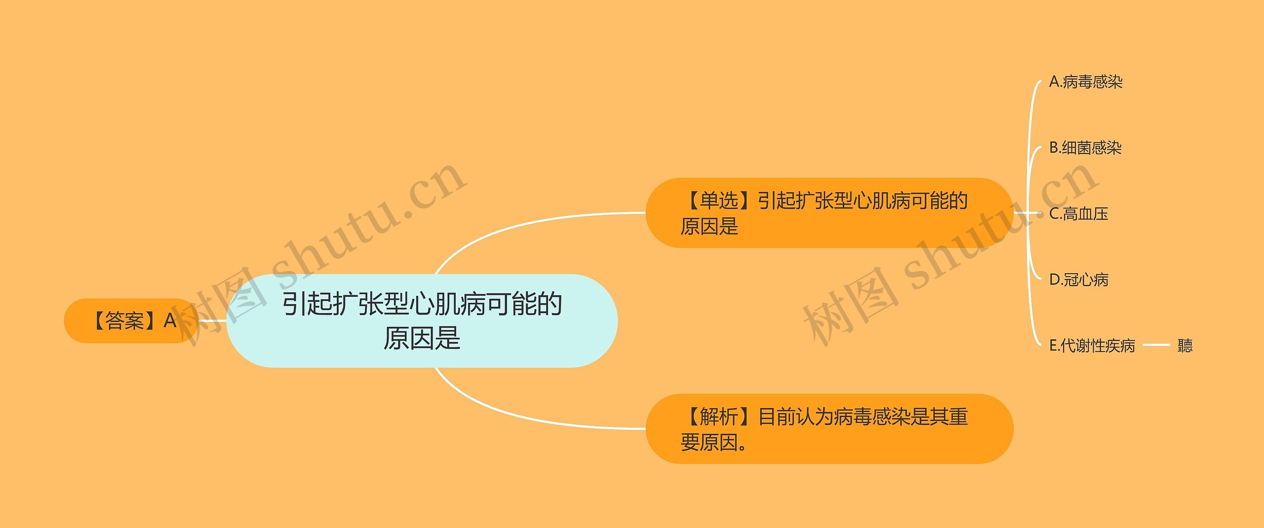 引起扩张型心肌病可能的原因是思维导图