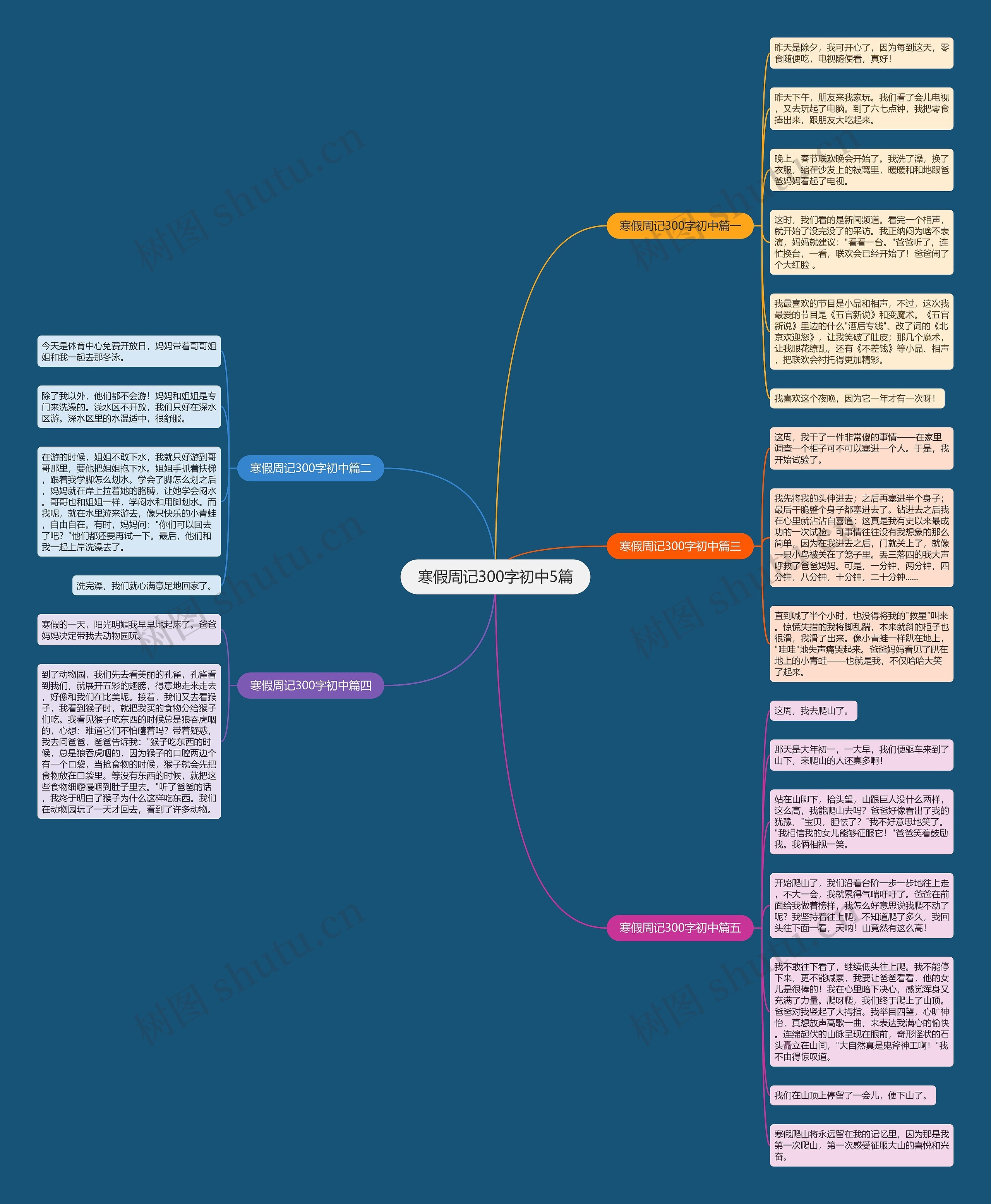 寒假周记300字初中5篇思维导图
