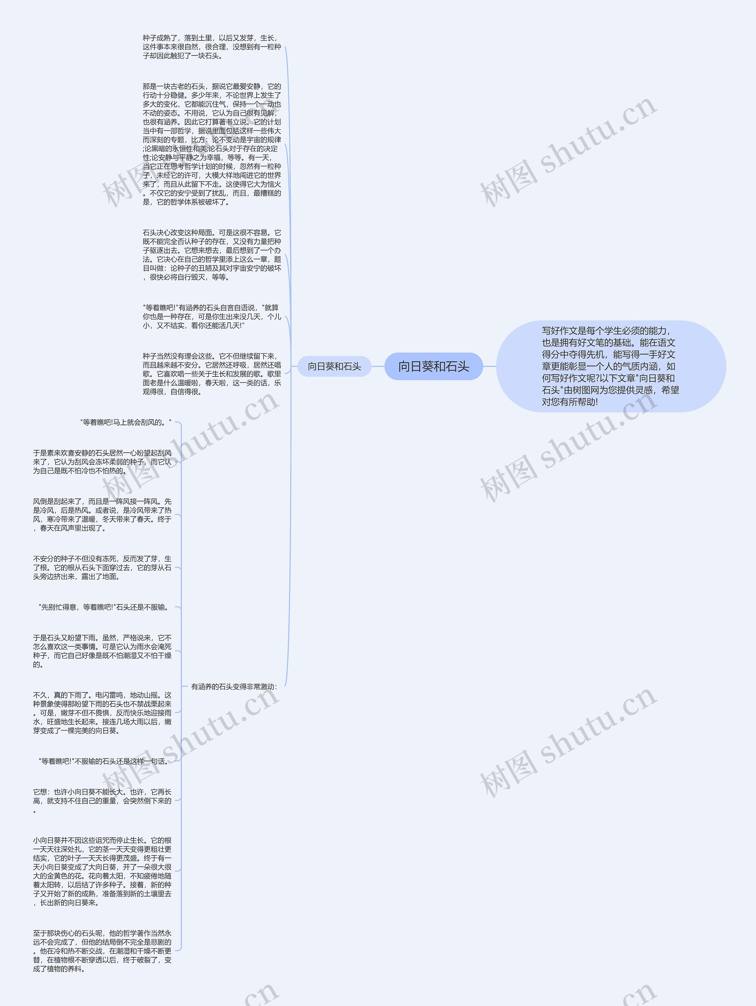 向日葵和石头思维导图