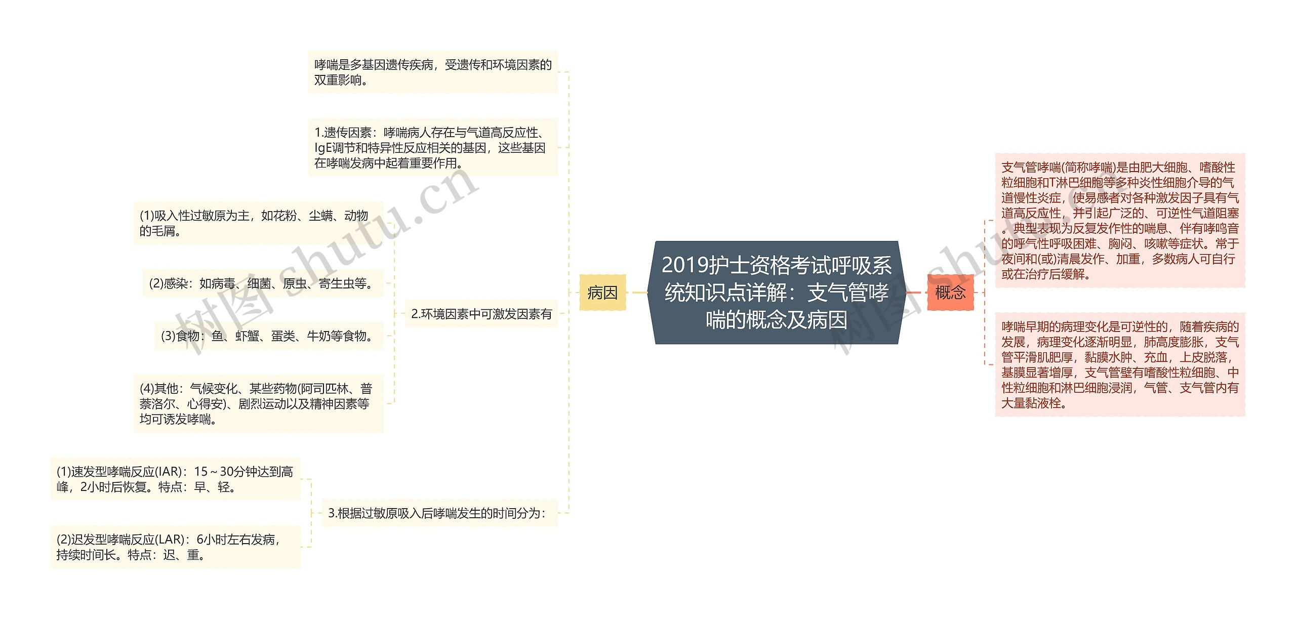 2019护士资格考试呼吸系统知识点详解：支气管哮喘的概念及病因