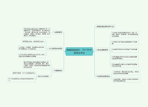 胸痛病因病机：2017护士资格证考试