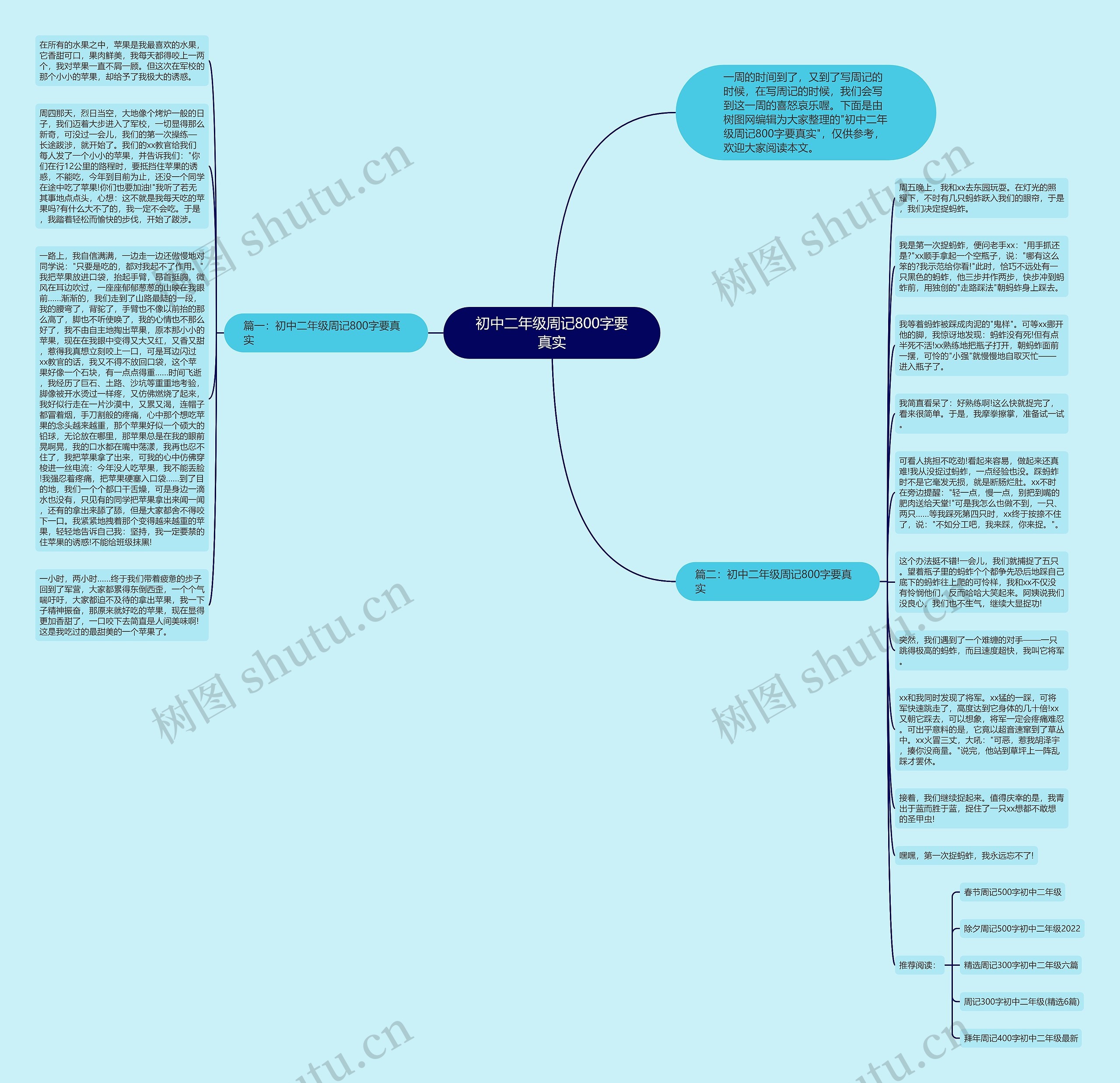 初中二年级周记800字要真实思维导图