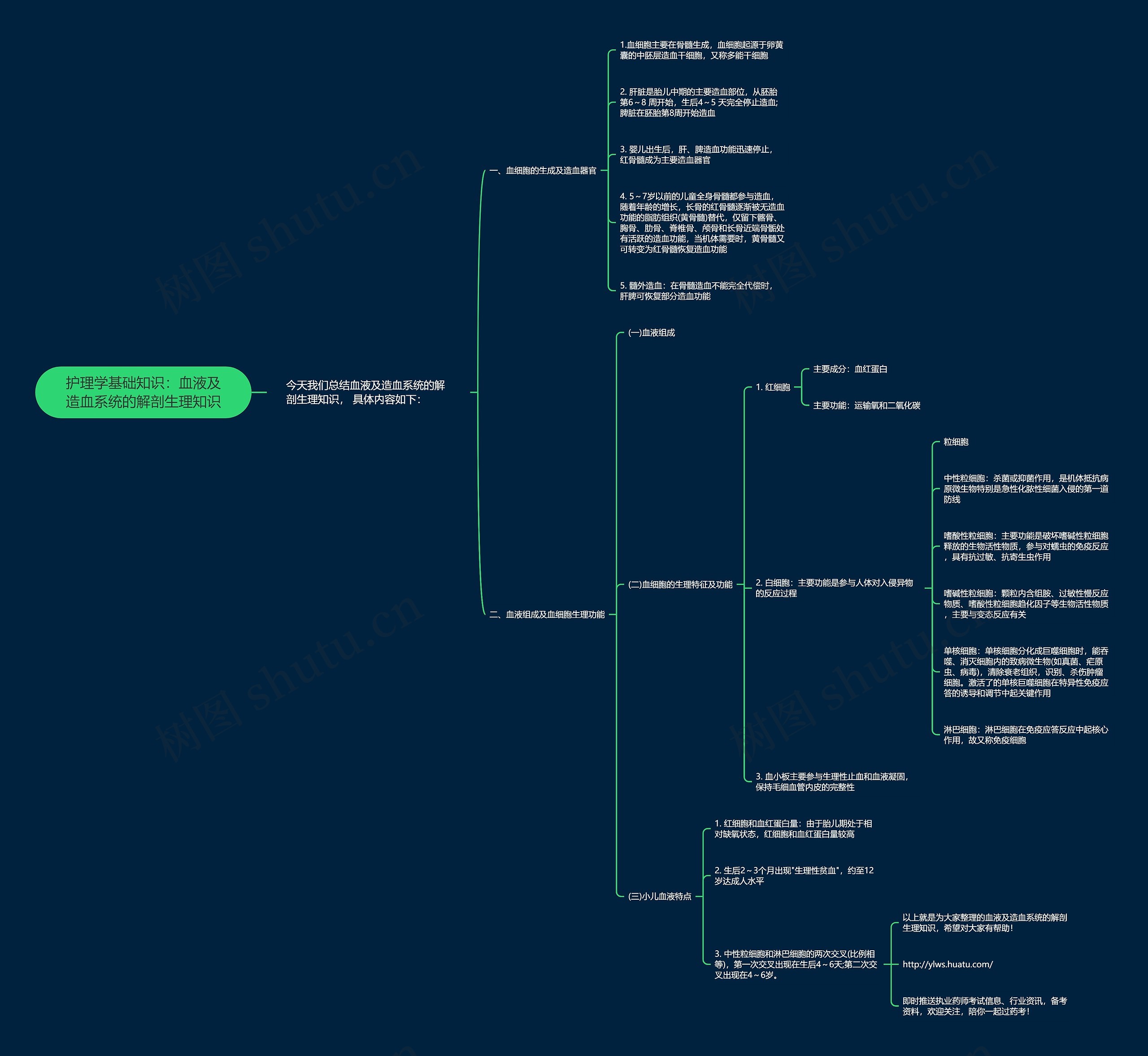 护理学基础知识：血液及造血系统的解剖生理知识思维导图