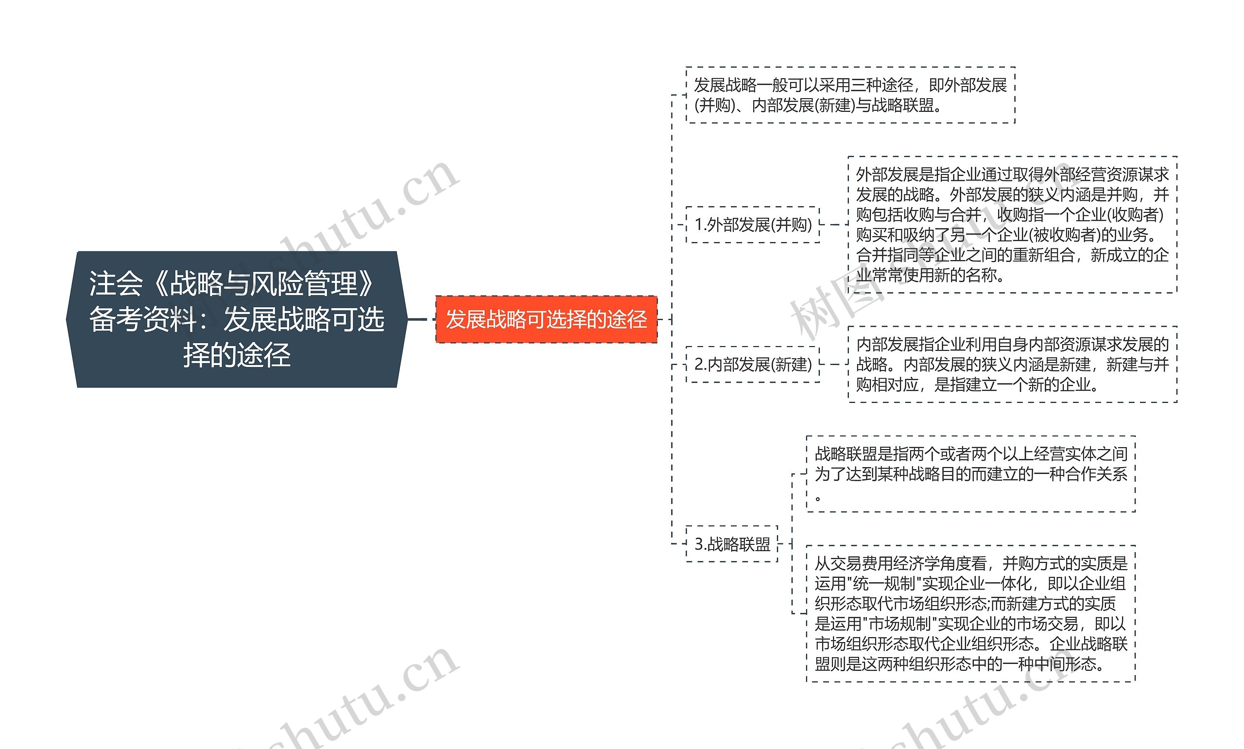 注会《战略与风险管理》备考资料：发展战略可选择的途径