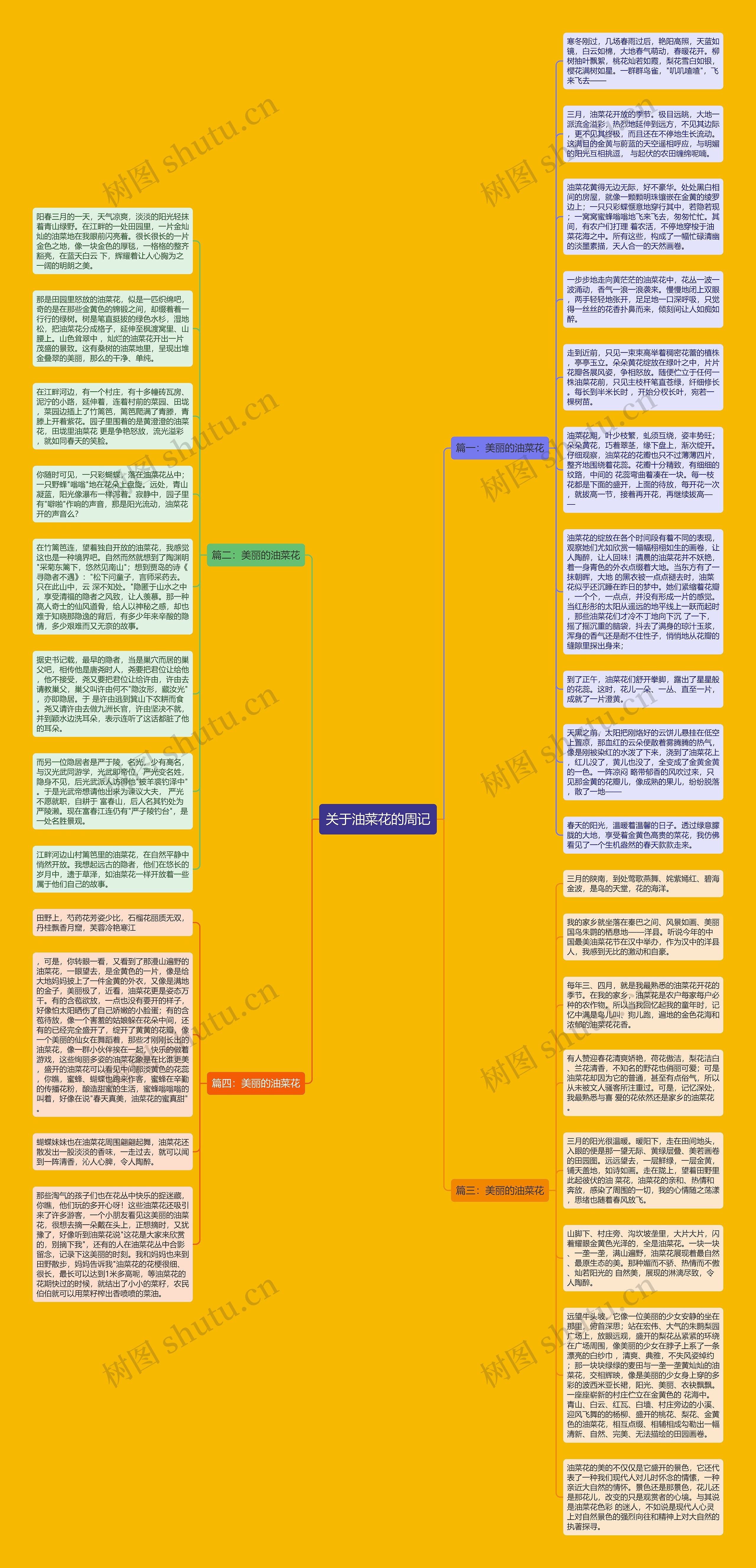 关于油菜花的周记思维导图