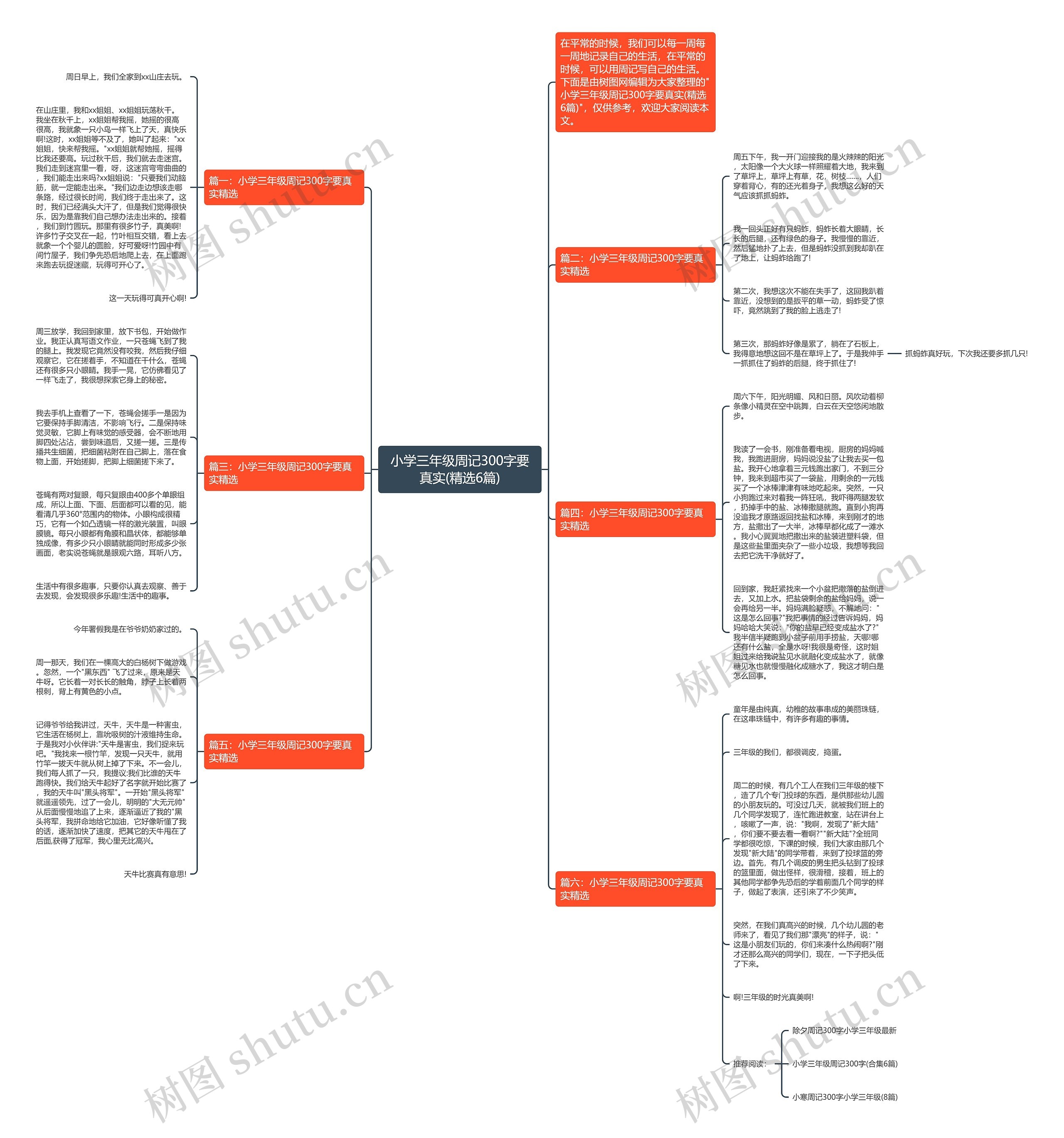 小学三年级周记300字要真实(精选6篇)思维导图