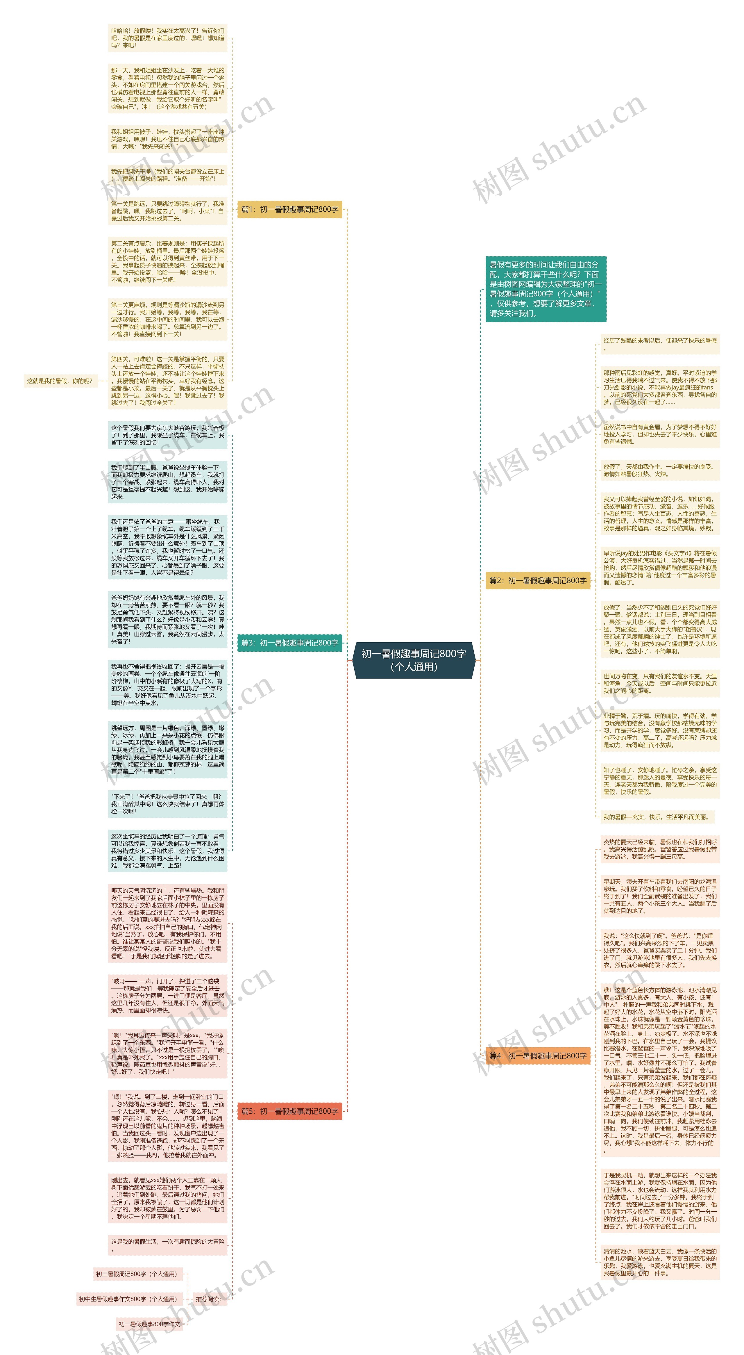 初一暑假趣事周记800字（个人通用）思维导图