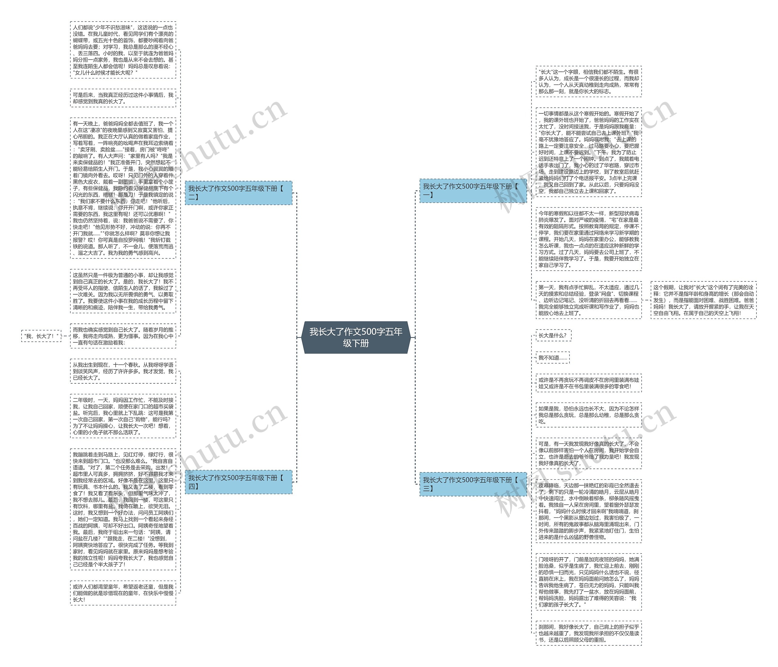 我长大了作文500字五年级下册