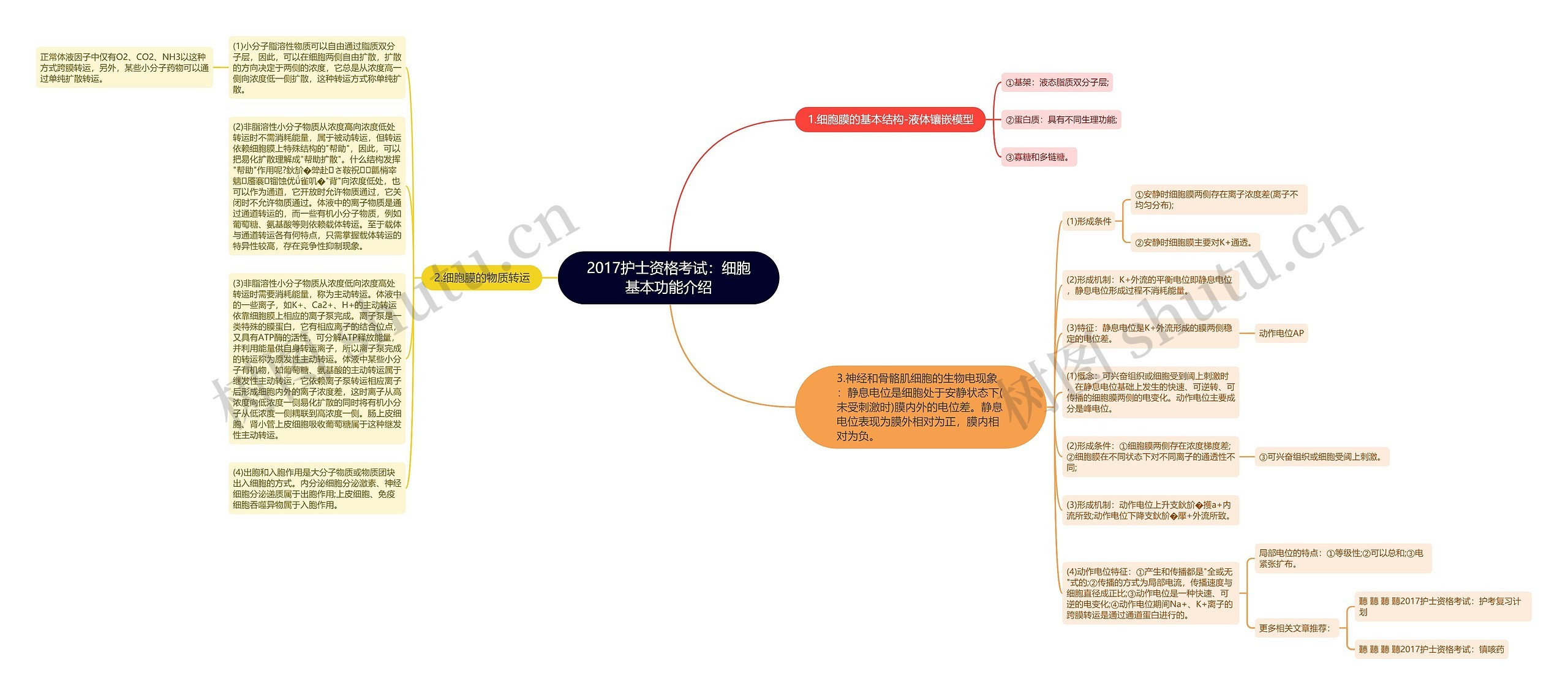 2017护士资格考试：细胞基本功能介绍