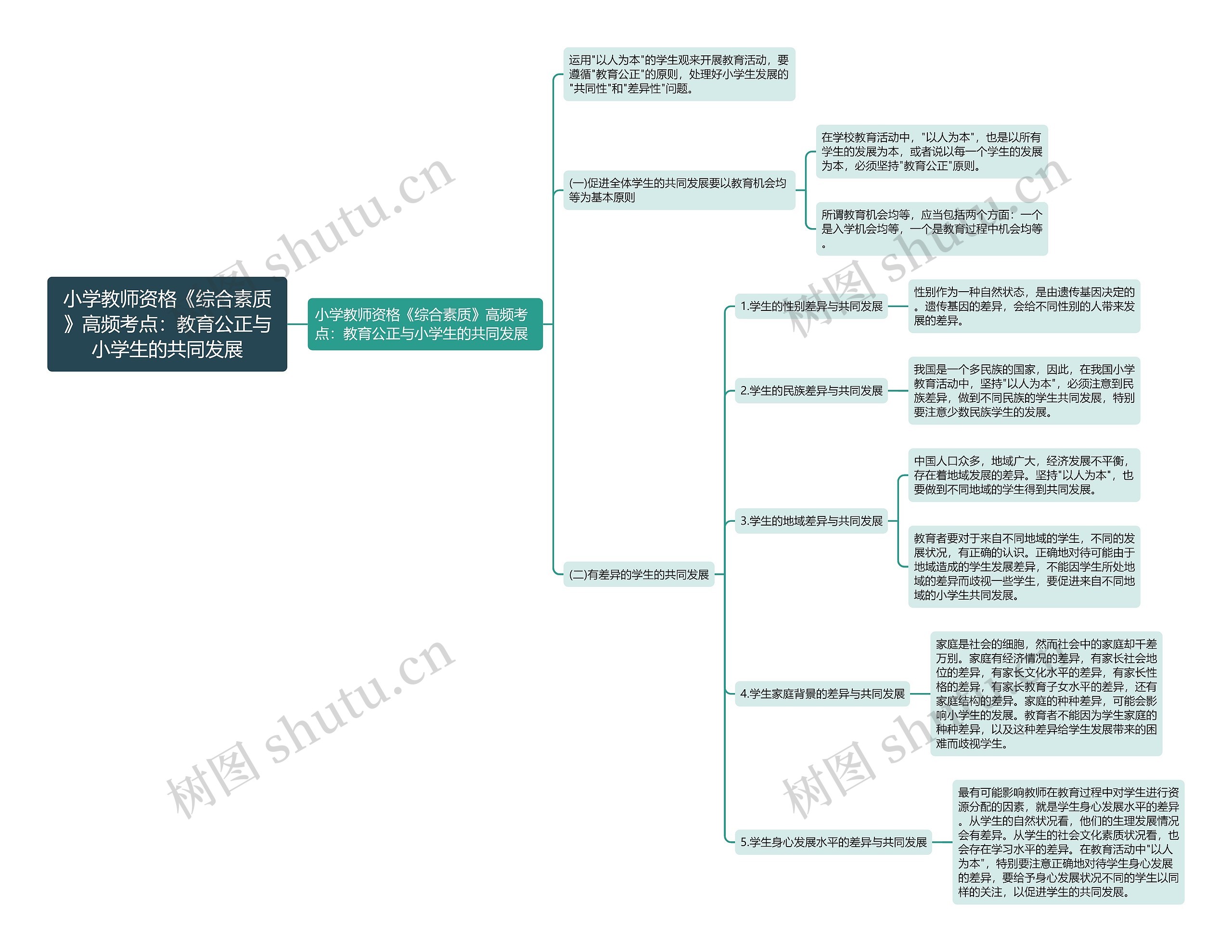 小学教师资格《综合素质》高频考点：教育公正与小学生的共同发展