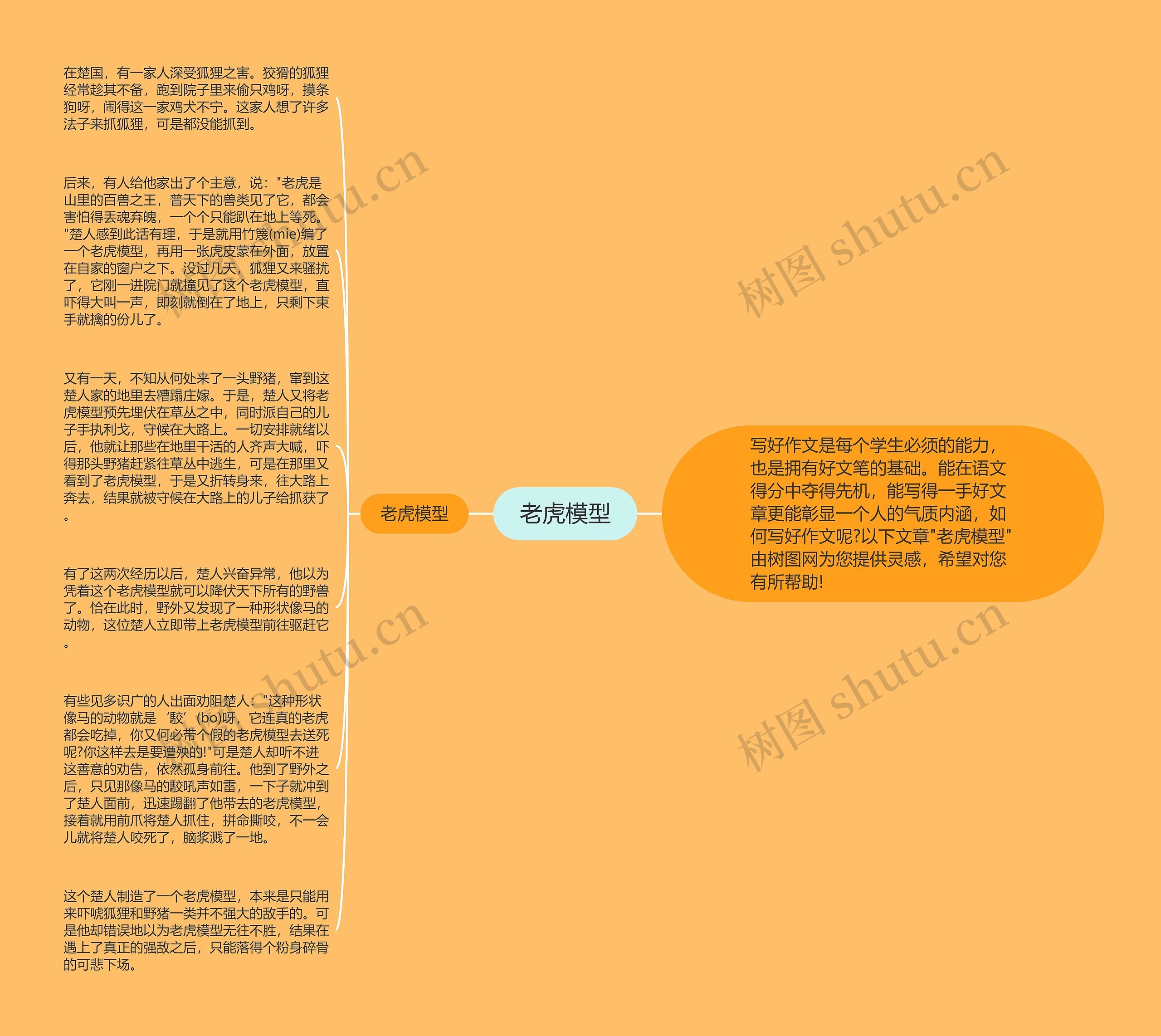 老虎模型