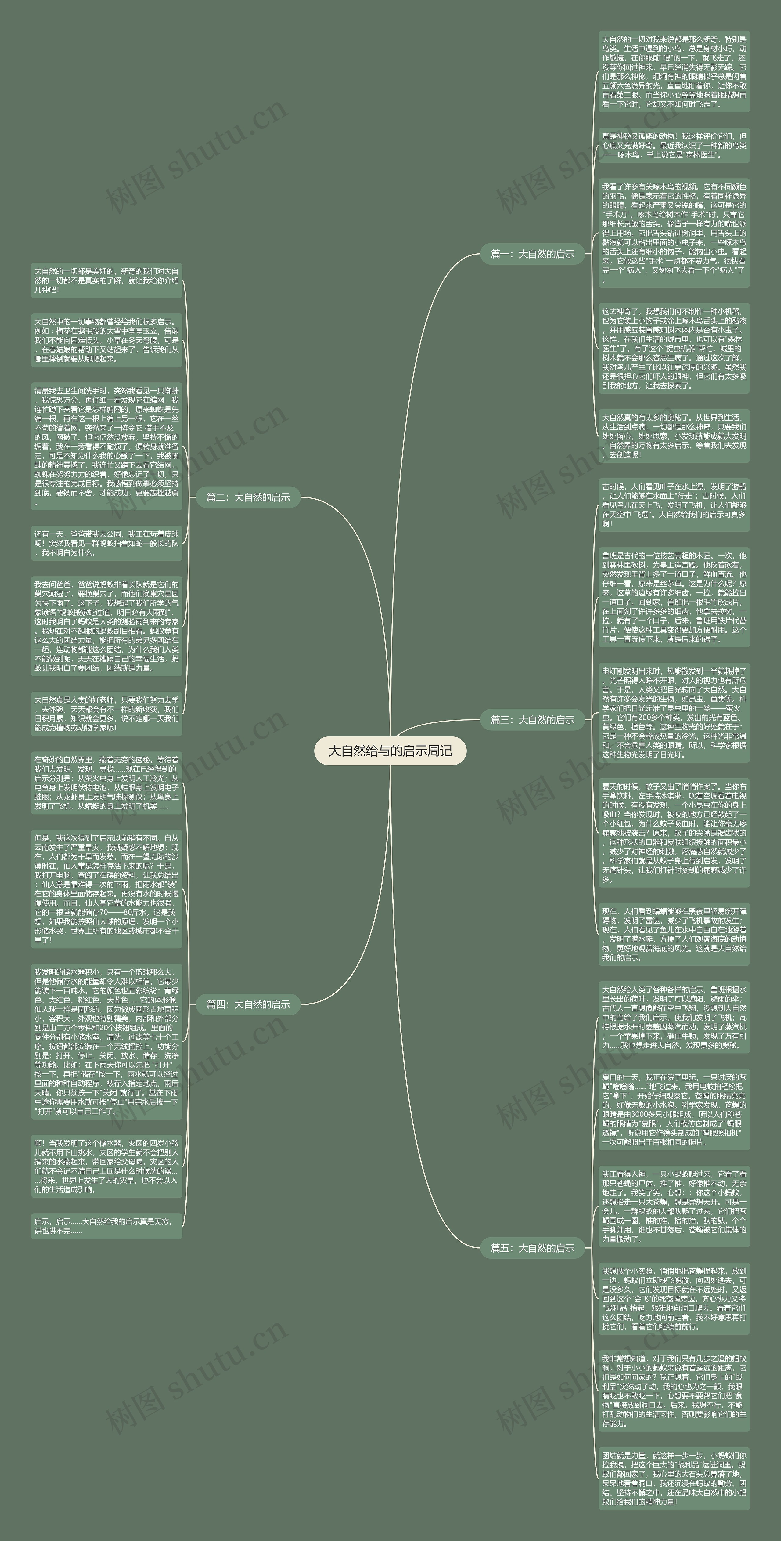 大自然给与的启示周记思维导图