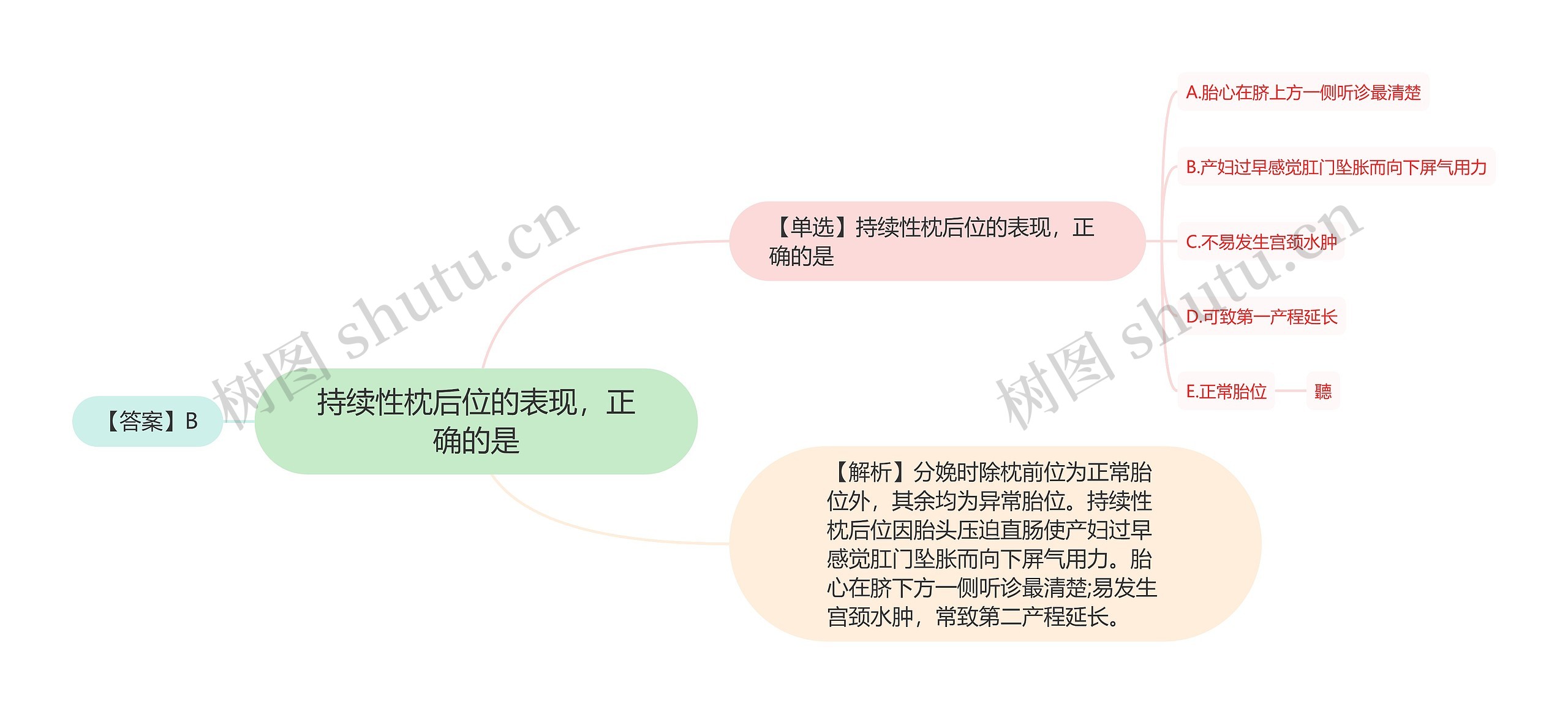 持续性枕后位的表现，正确的是思维导图