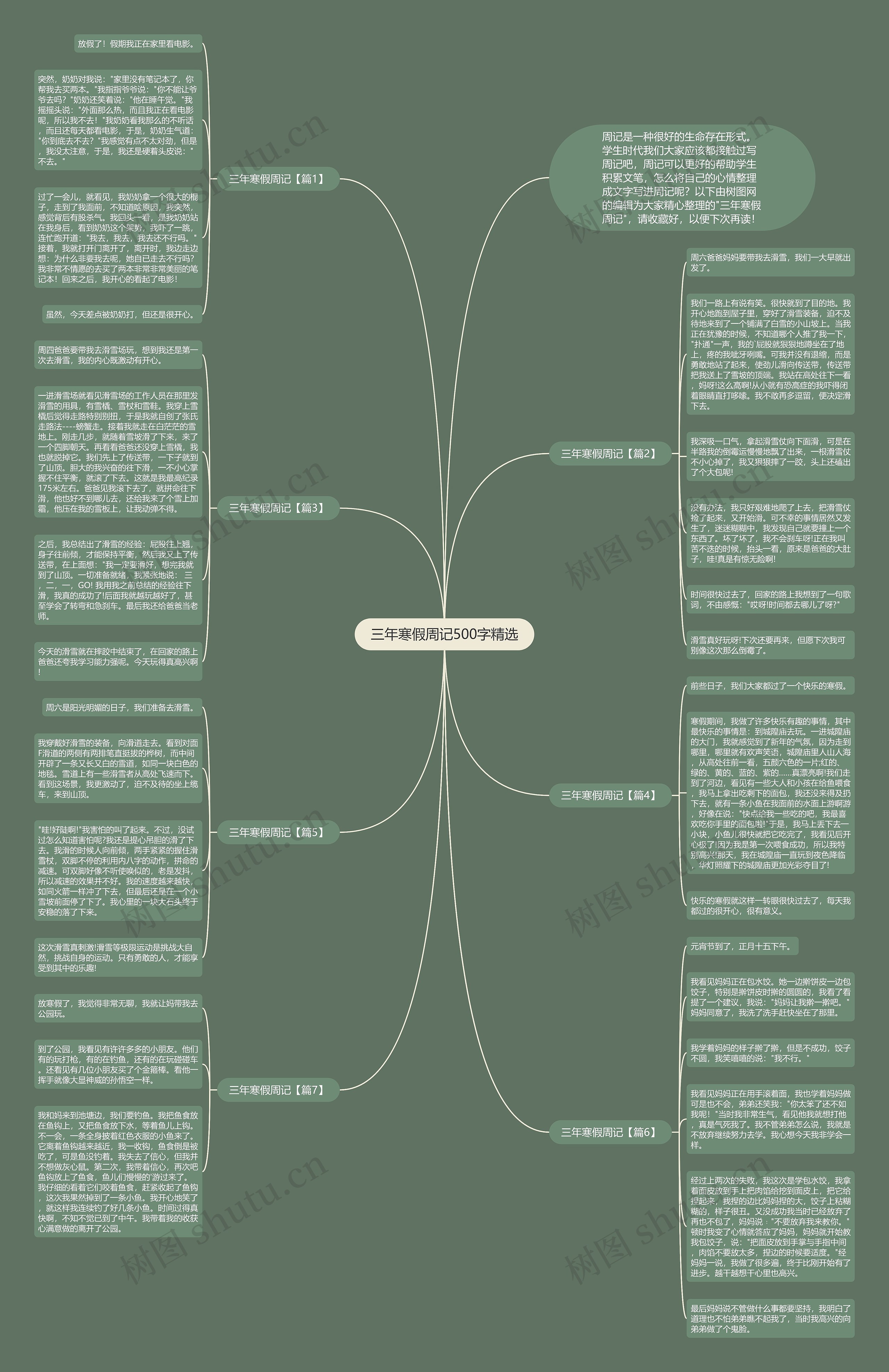 三年寒假周记500字精选思维导图
