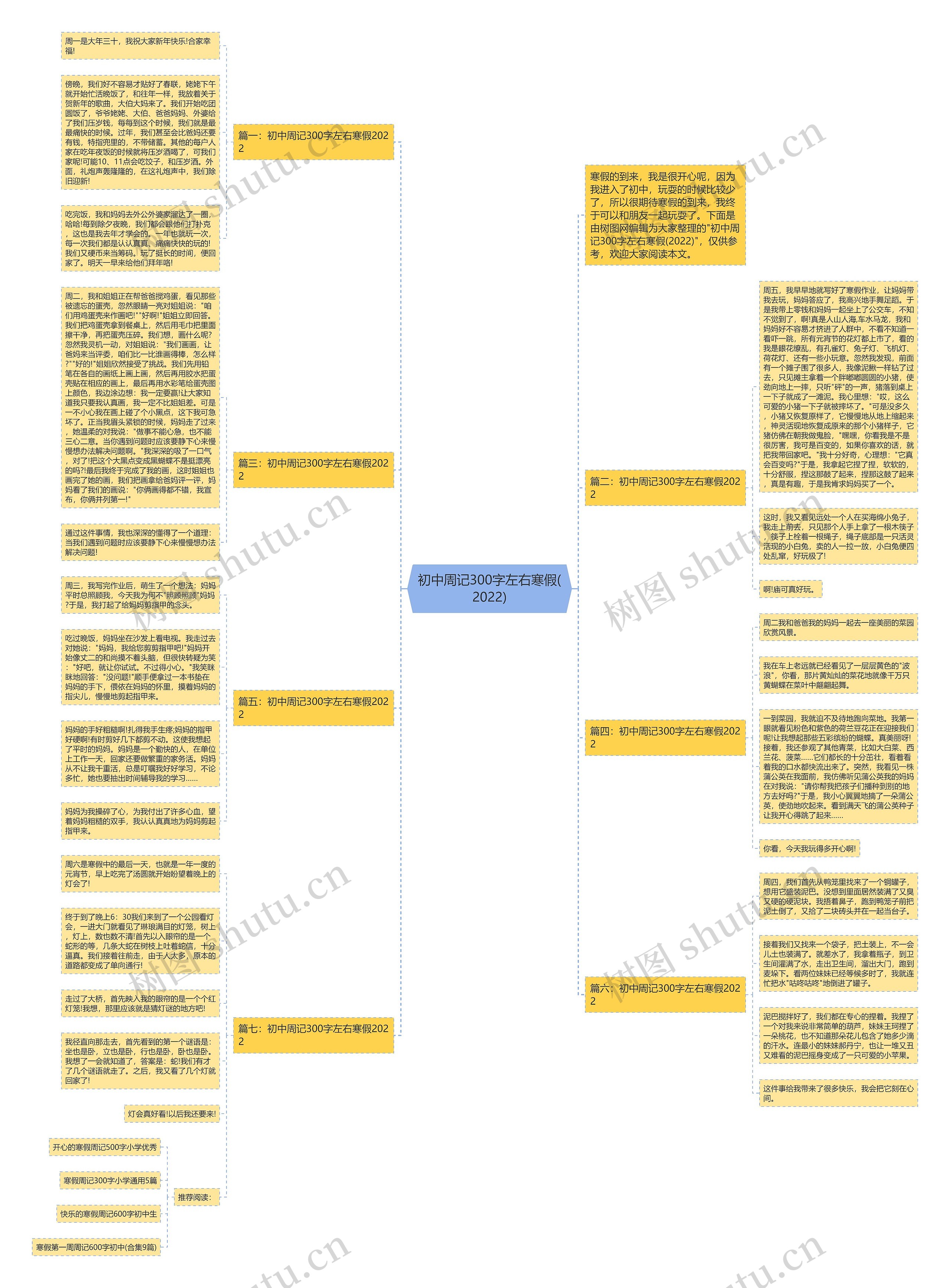 初中周记300字左右寒假(2022)思维导图