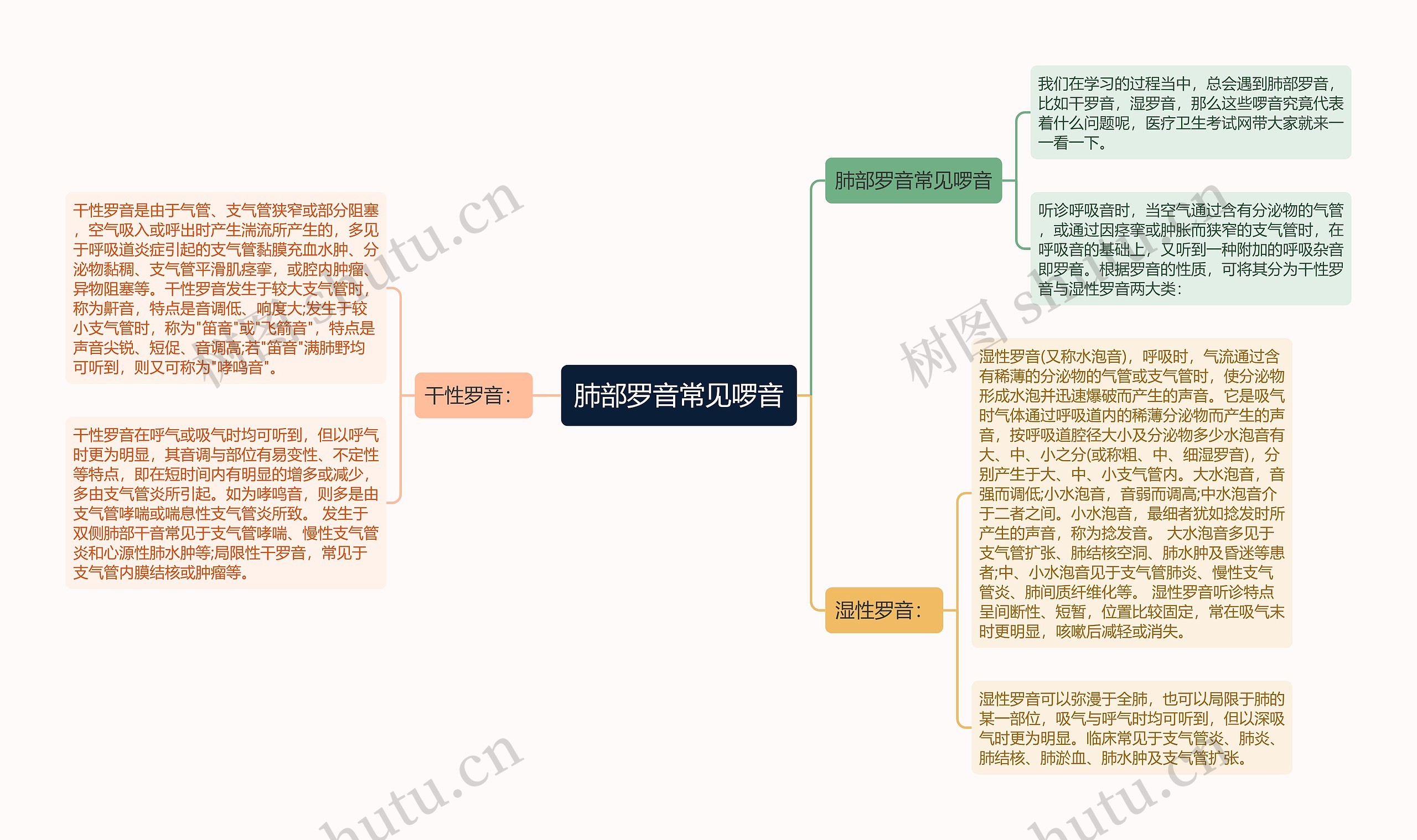 肺部罗音常见啰音思维导图