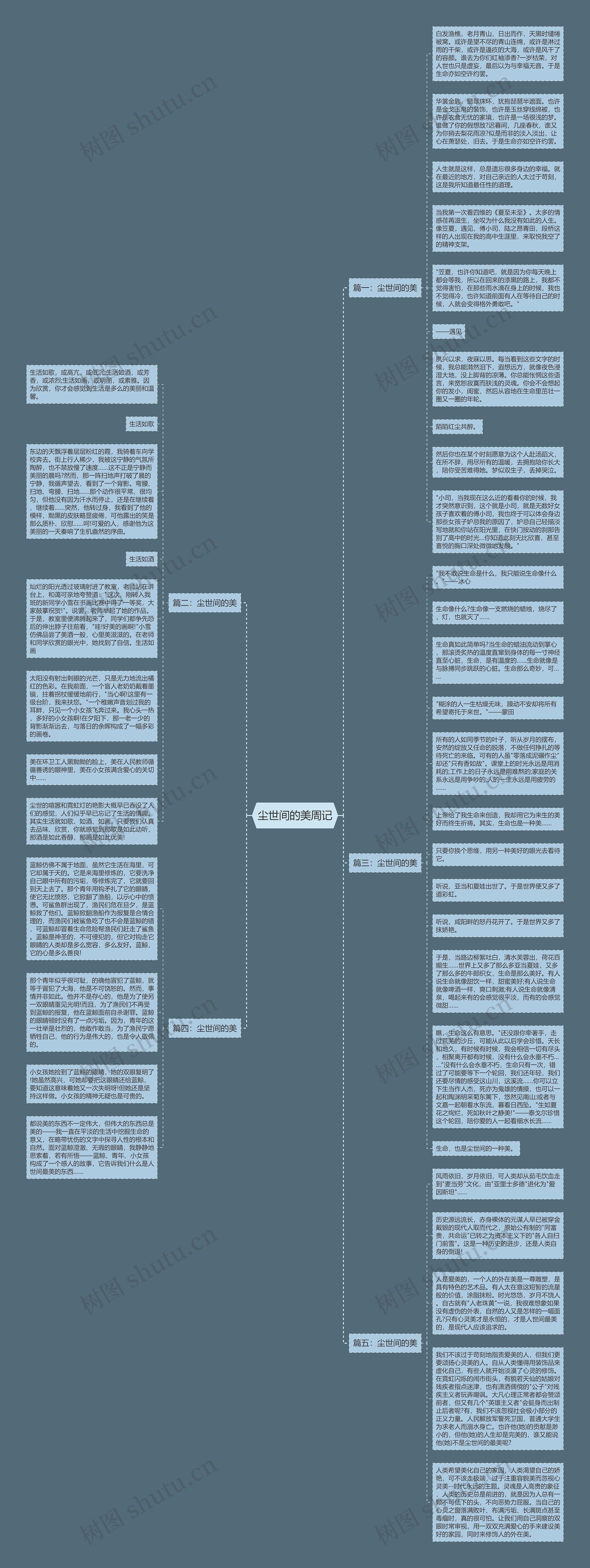 尘世间的美周记思维导图
