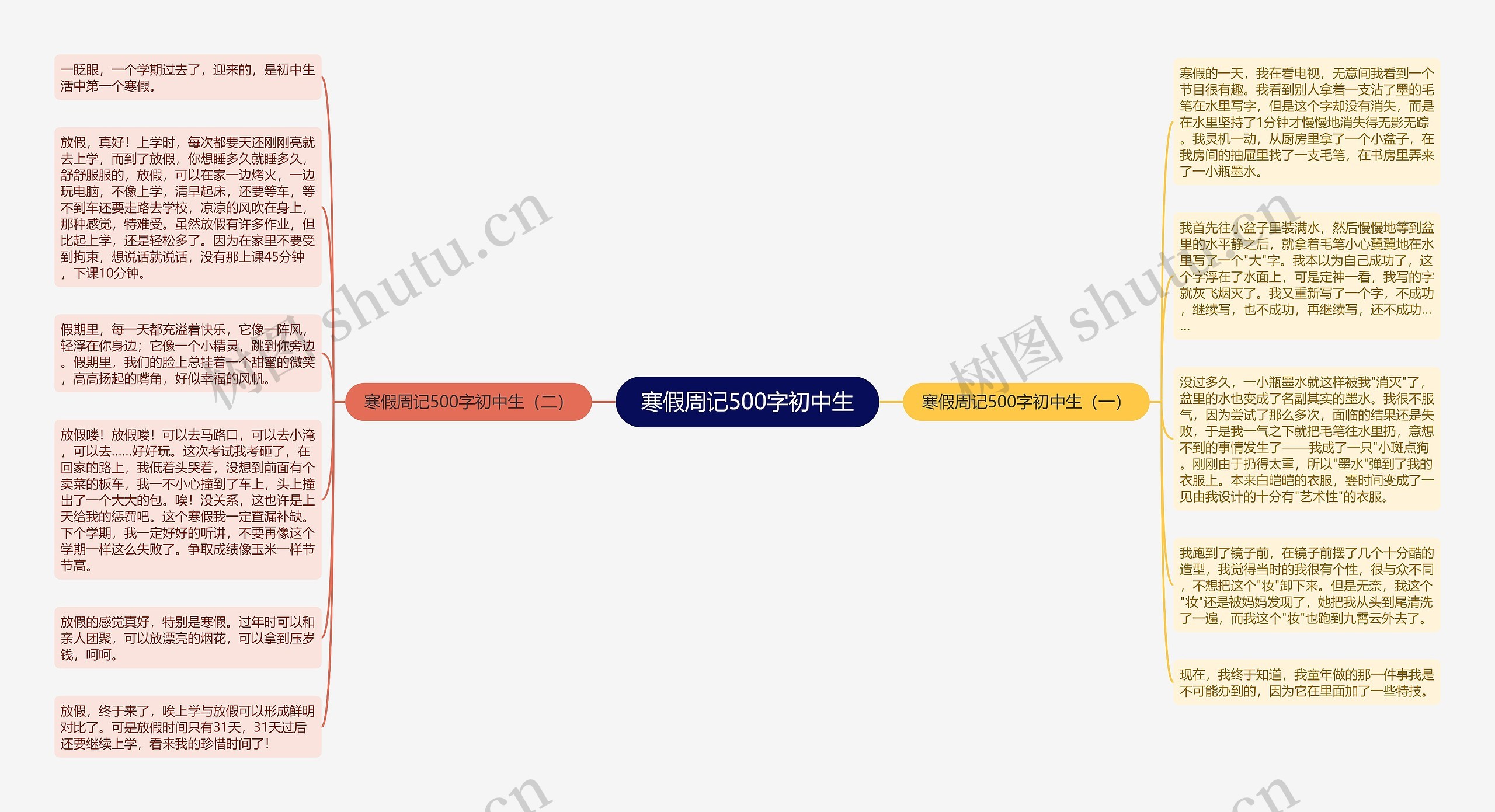 寒假周记500字初中生思维导图