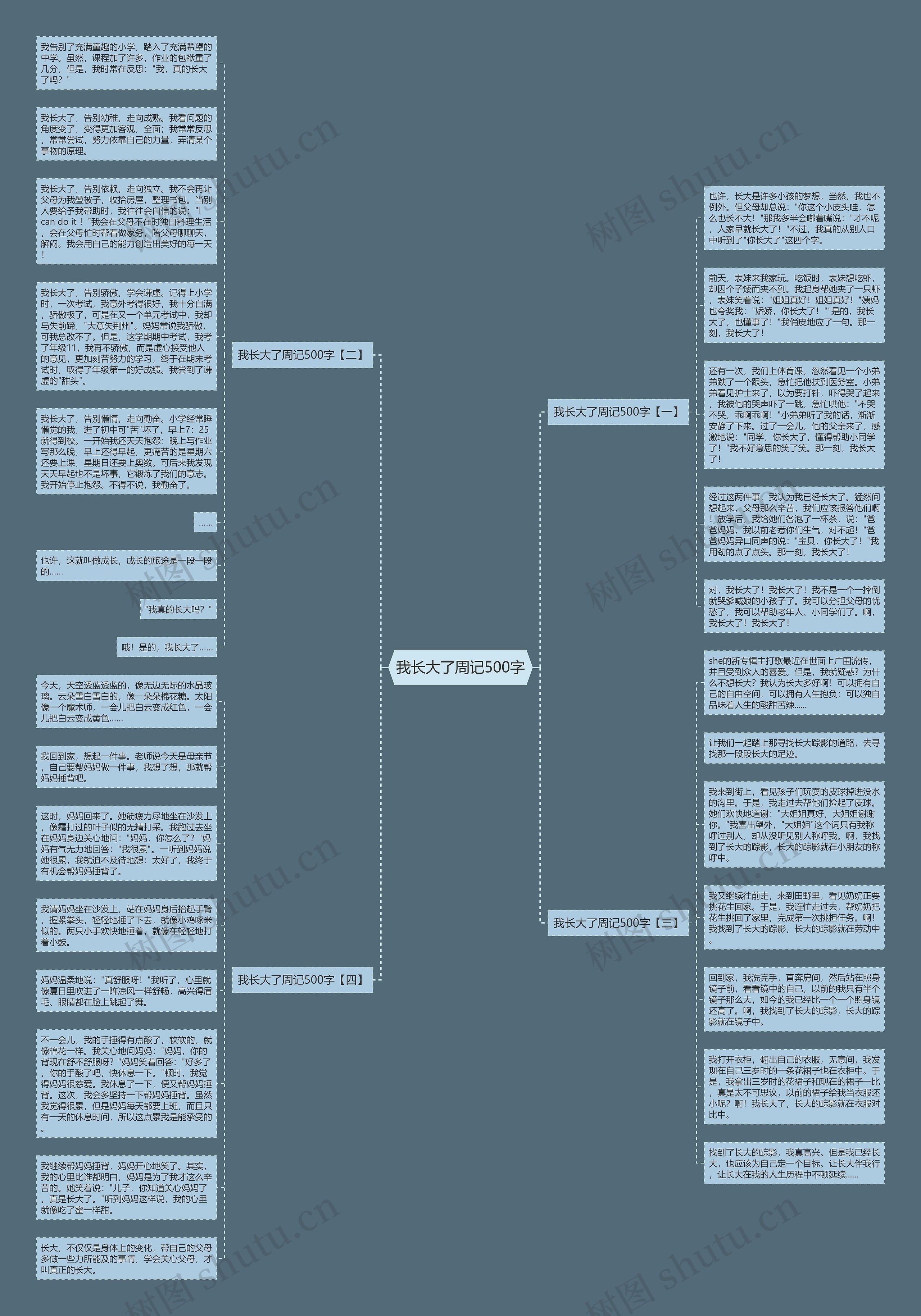 我长大了周记500字思维导图