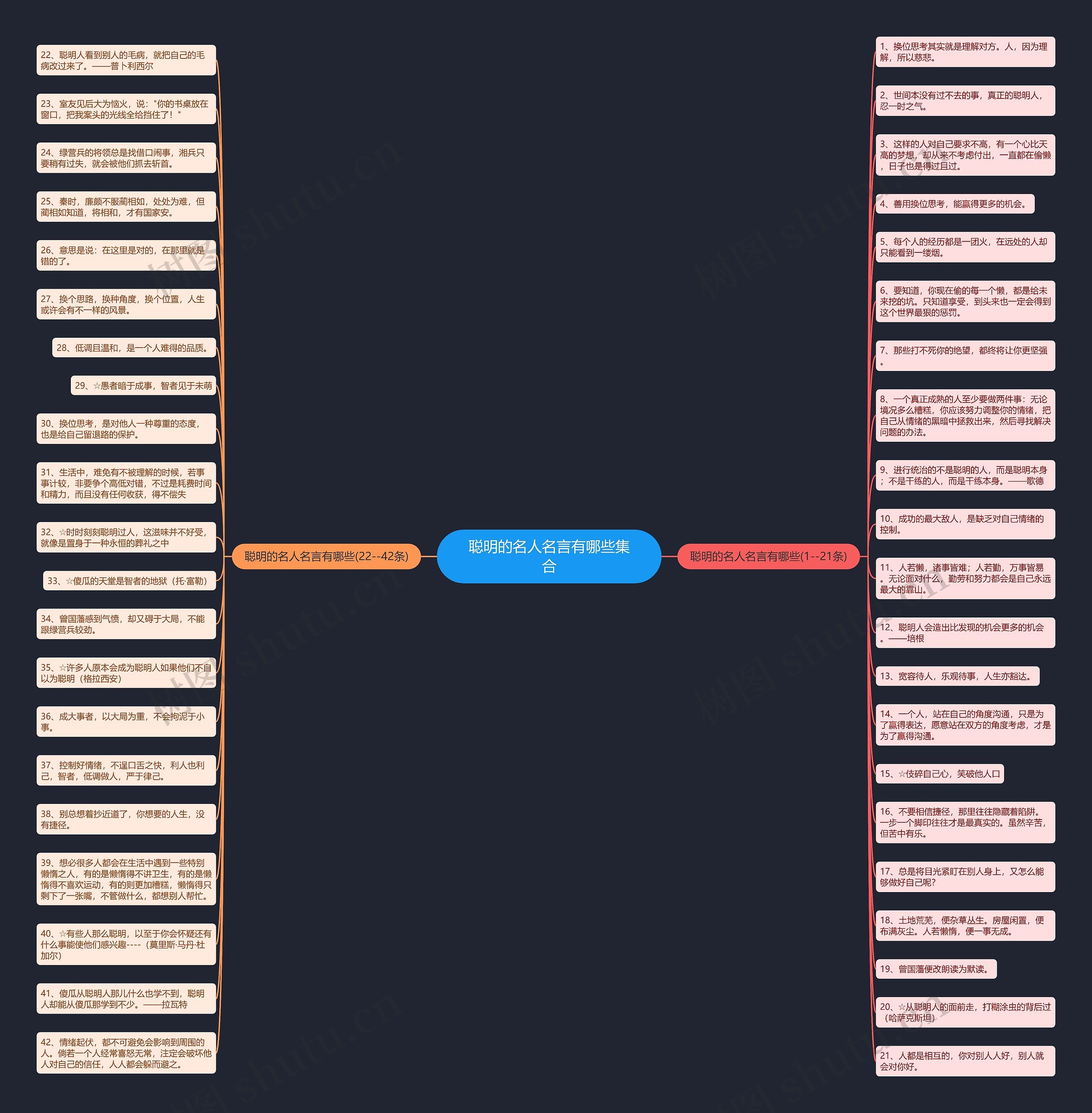 聪明的名人名言有哪些集合思维导图